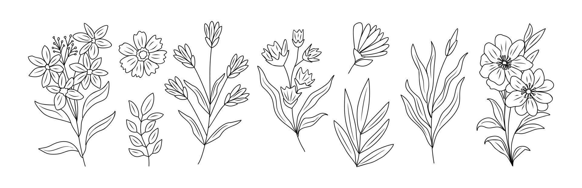 Set of tiny wild flowers, plants line art . vector