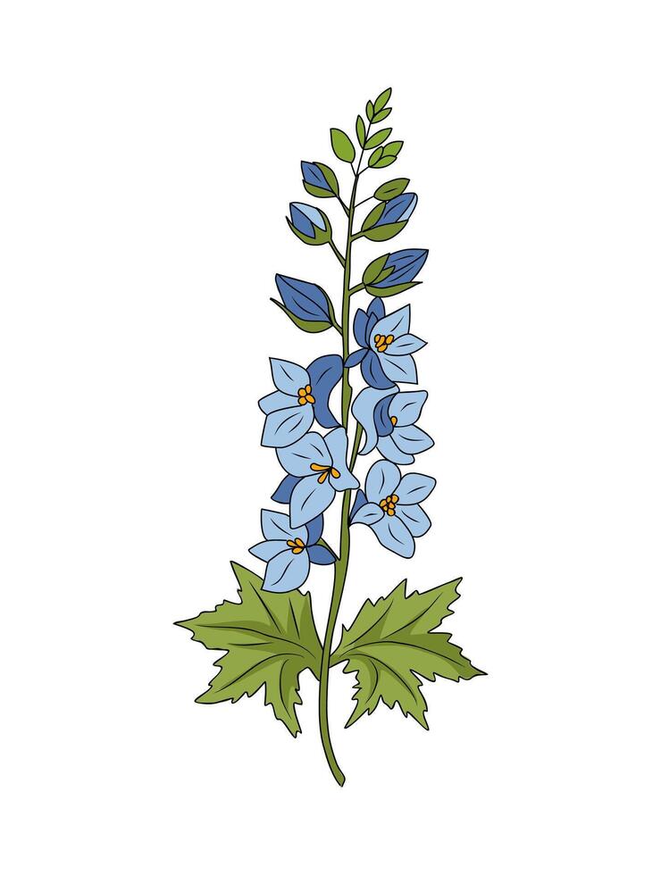 Larkspur flower colored line art isolated. vector