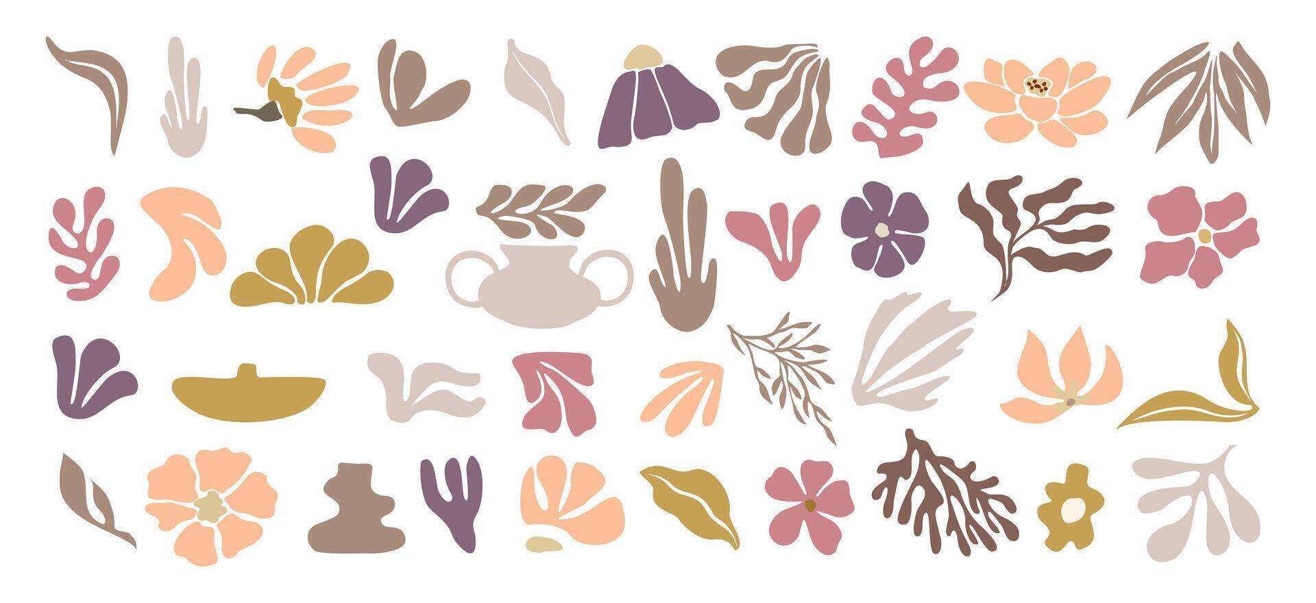 Set of hand drawn floral design elements. vector
