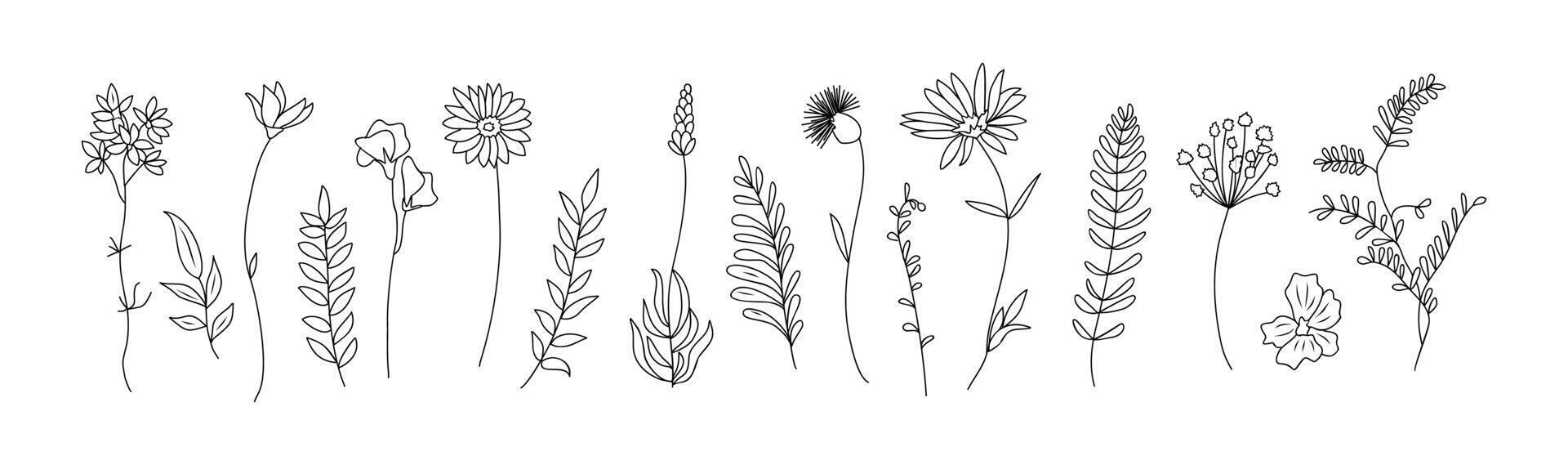 Set of tiny wild flowers and plants line art. vector