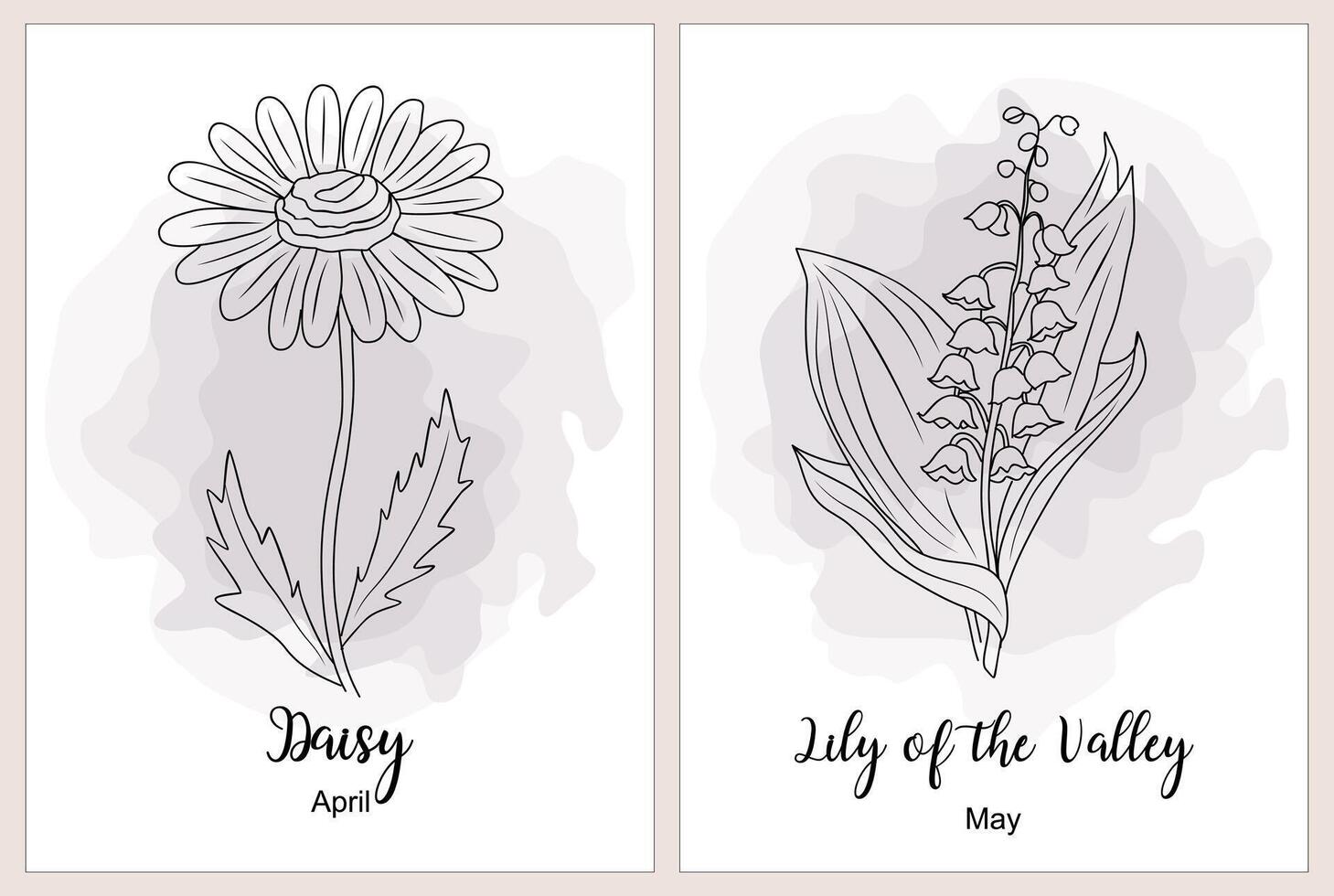 Daisy and Lily of the Valley botanical line art. vector