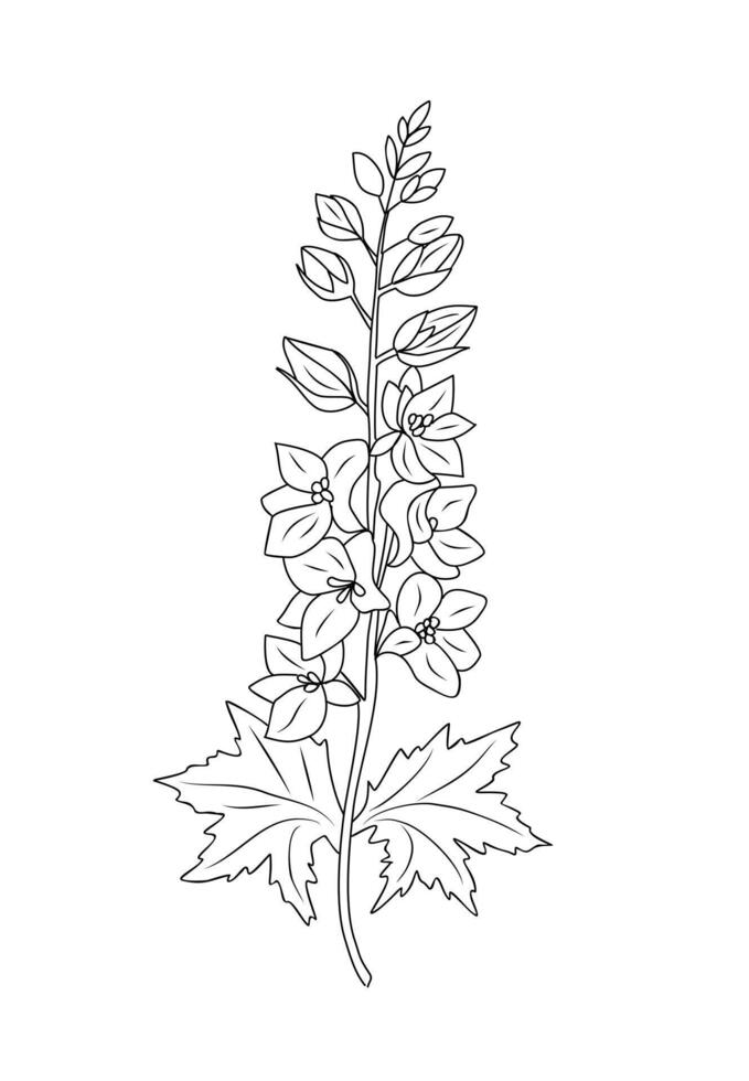 Larkspur flower line art drawing isolated. vector