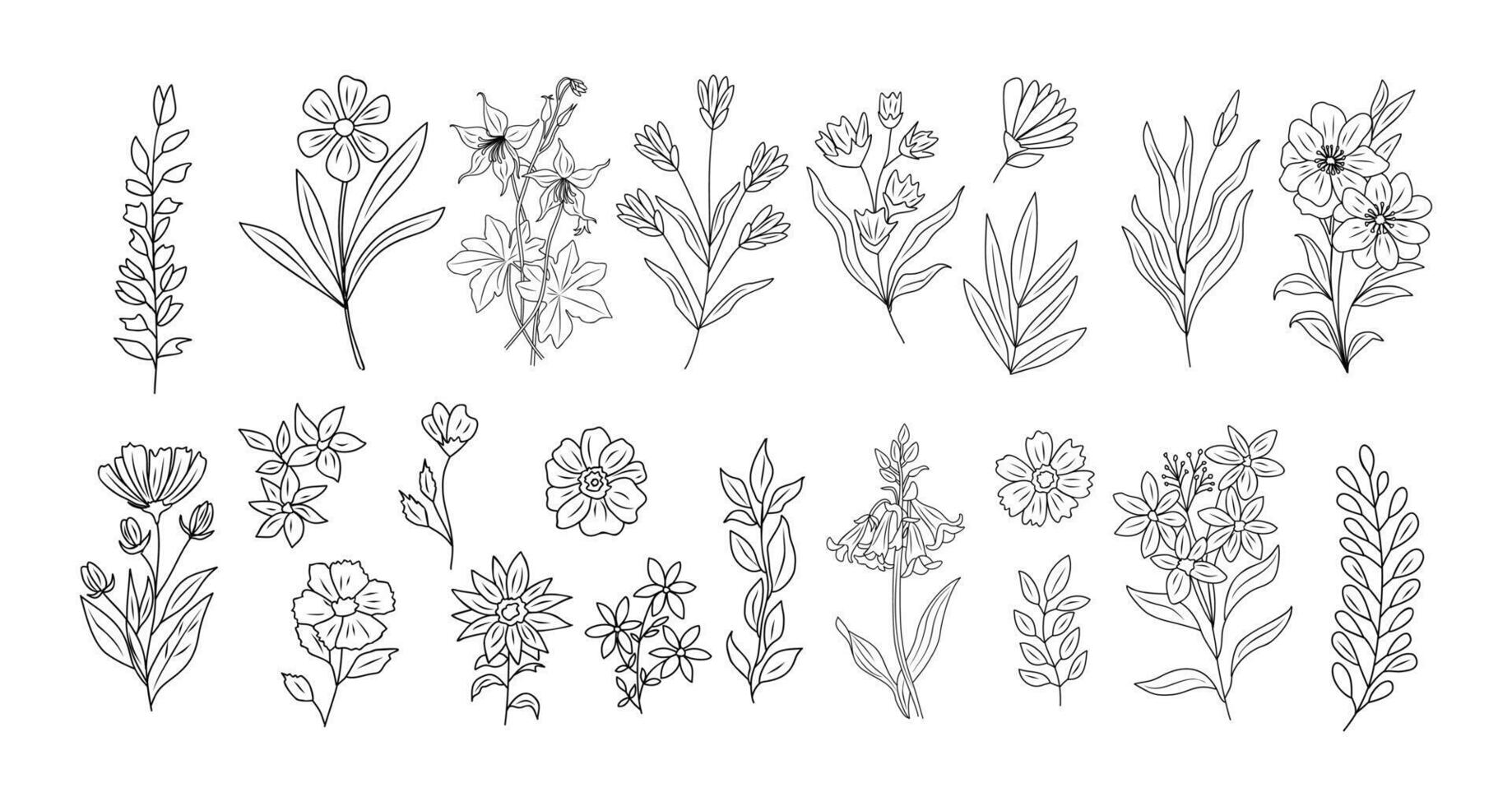 Set of tiny wild flowers and plants line art. vector