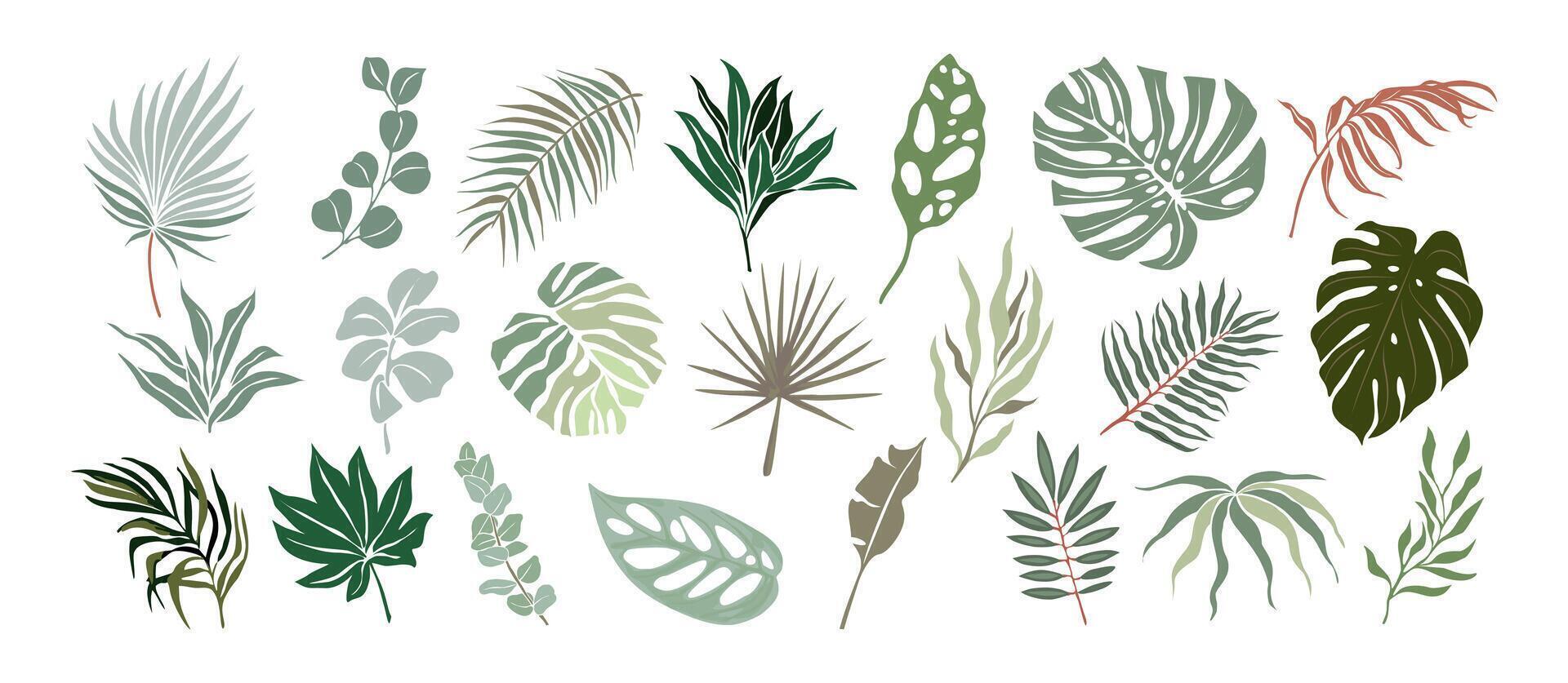 Set of Different tropical leaves drawings. vector