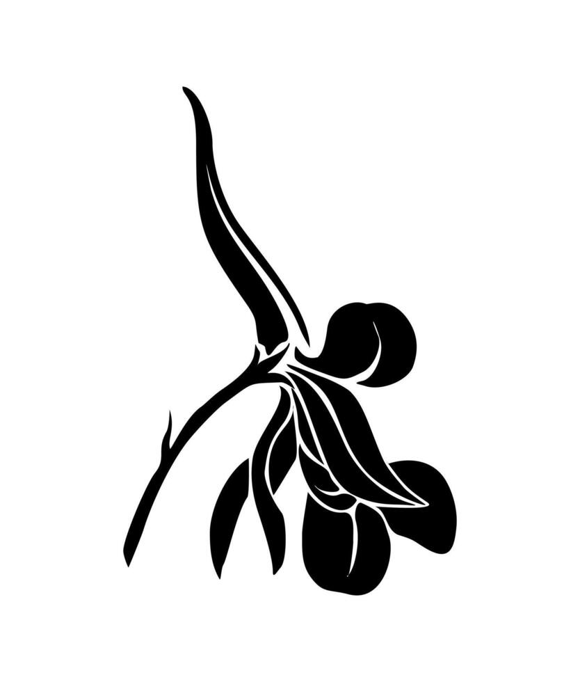 Larkspur flower black silhouette art icon. vector