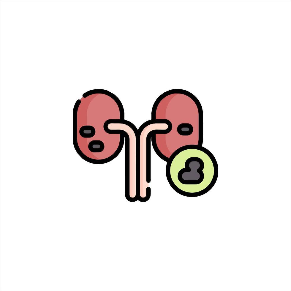 An illustration of a kidney and a person vector
