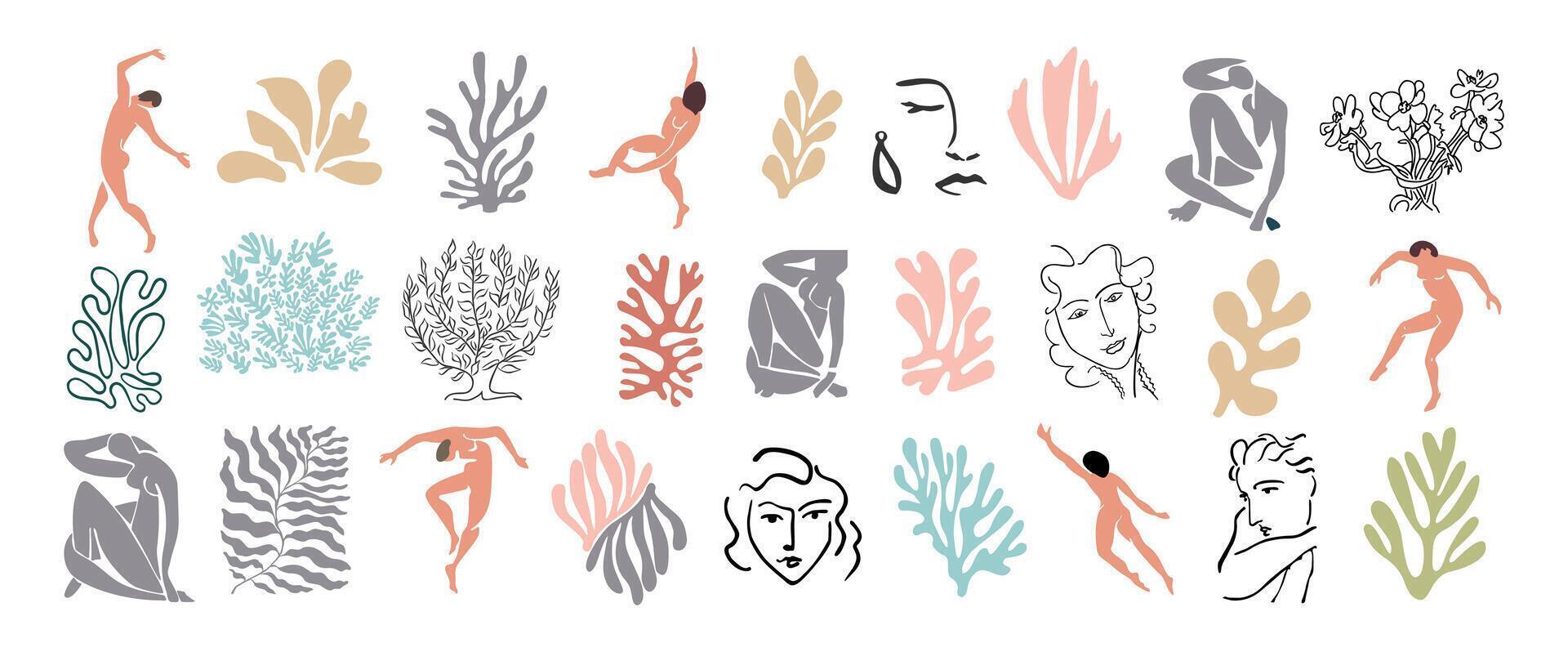 Set of abstract elements in Matisse inspired style vector