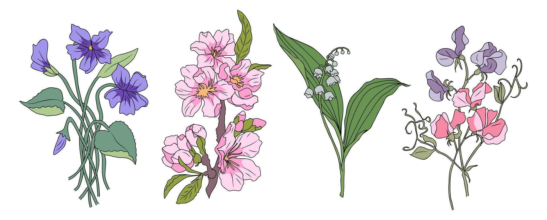 Set of Beautiful romantic spring flowers isolated. vector