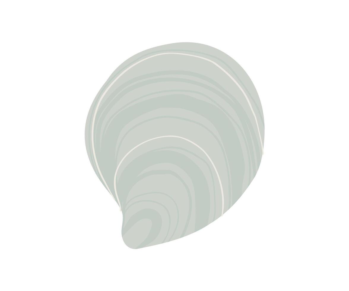 The round shell is drawn in a flat style. Sea, coast, beach. Hand drawn illustration. vector