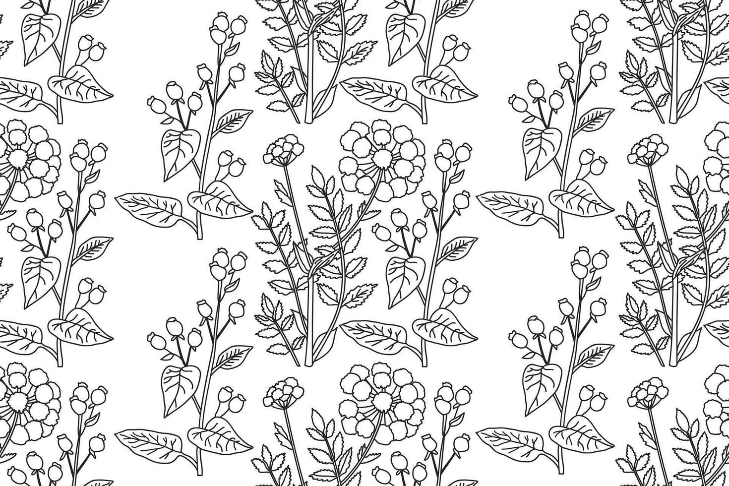 Botanical Line art abstract seamless plant pattern with wildflowers illustration.Black and white outline repeating floral print. Graphic design for Wallpaper Wedding Cover Wrapping Textile vector