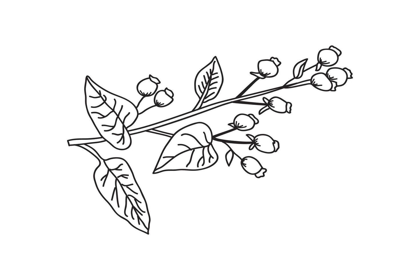 Line art botanical branch with leaves and berries isolated on white background. Black and white outline tree plant illustration. Graphic design for Print Brand Book Greeting Card Product Print vector