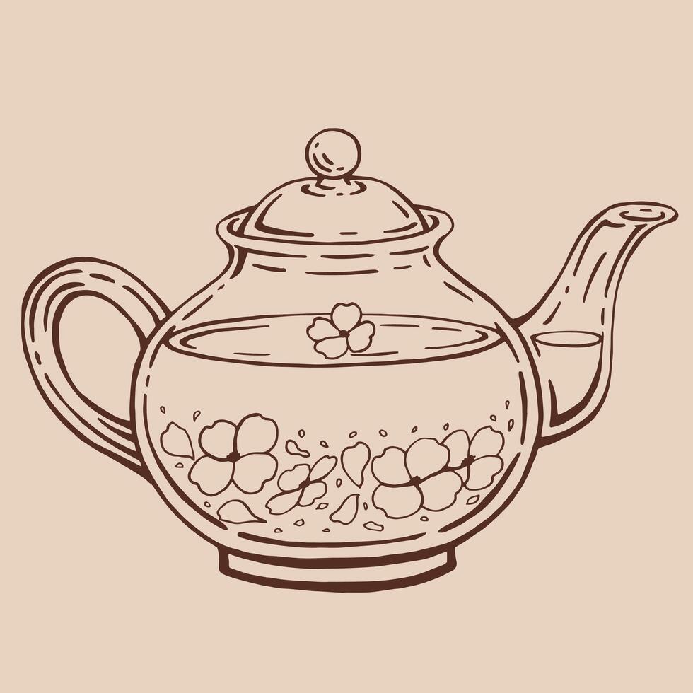 Teapot of tea with jasmine. Hand drawn illustration in outline style. vector