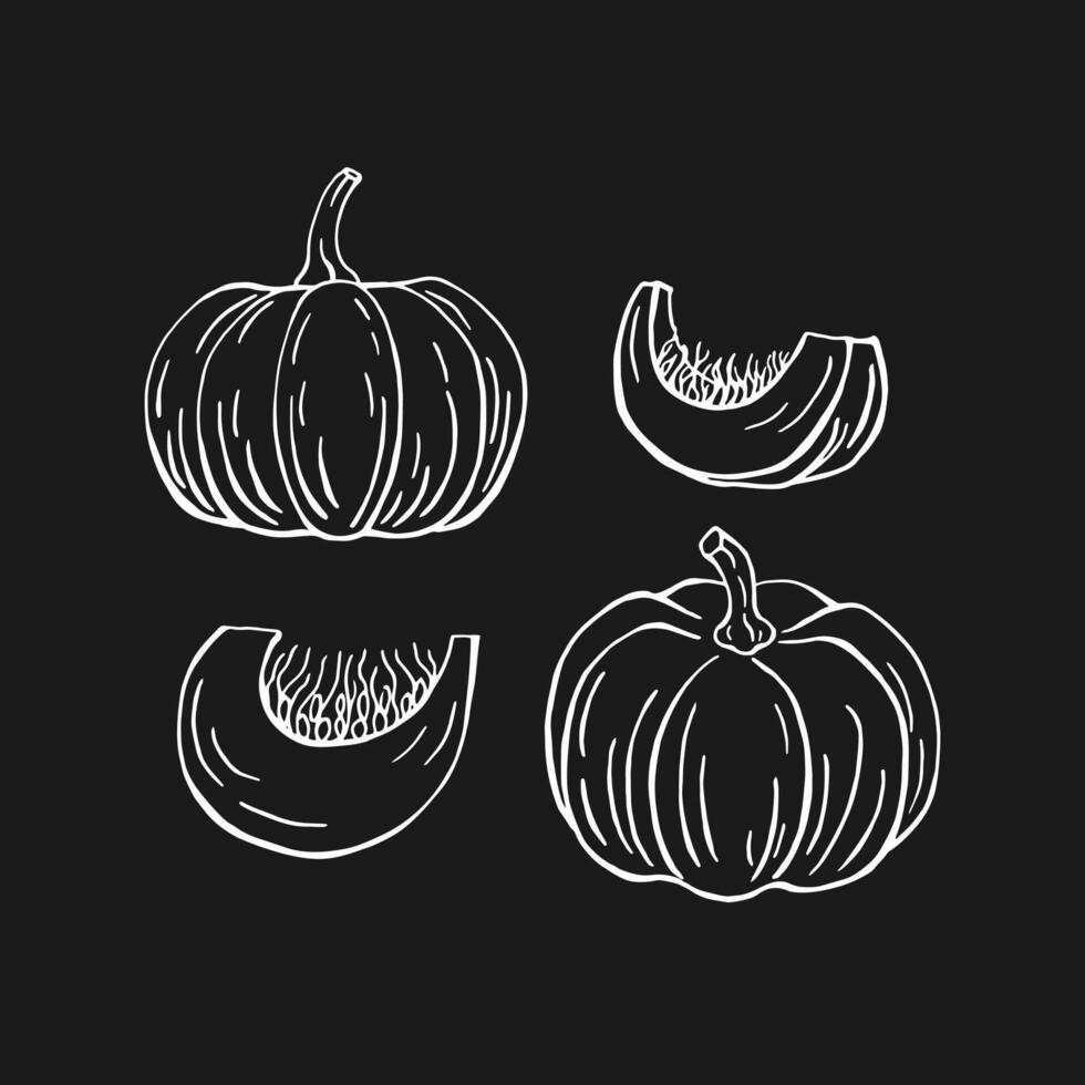 Set of pumpkin. Hand drawn illustration in outline style. vector