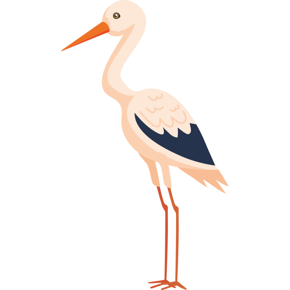 american avocet bird png