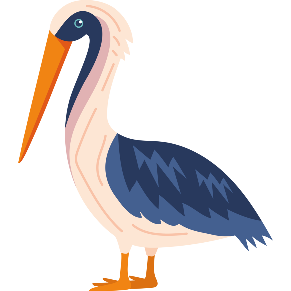 black necked stilt bird png