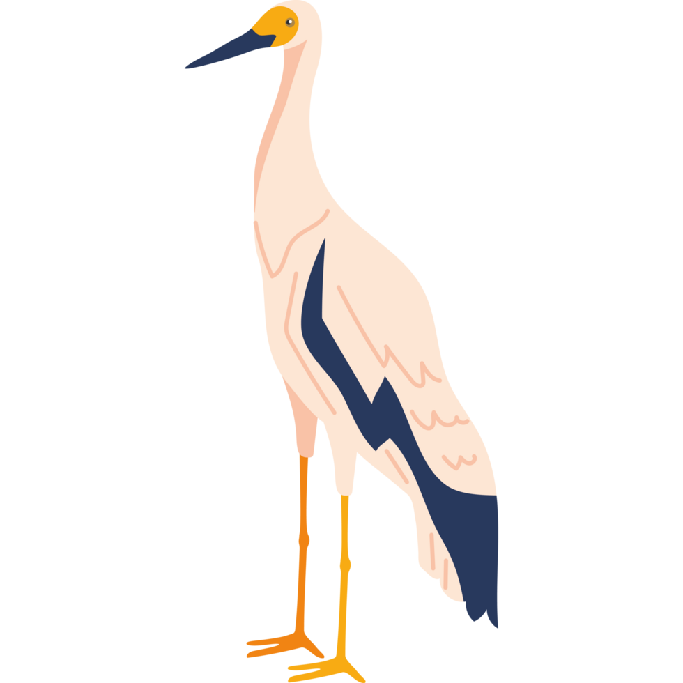 standing stork bird png