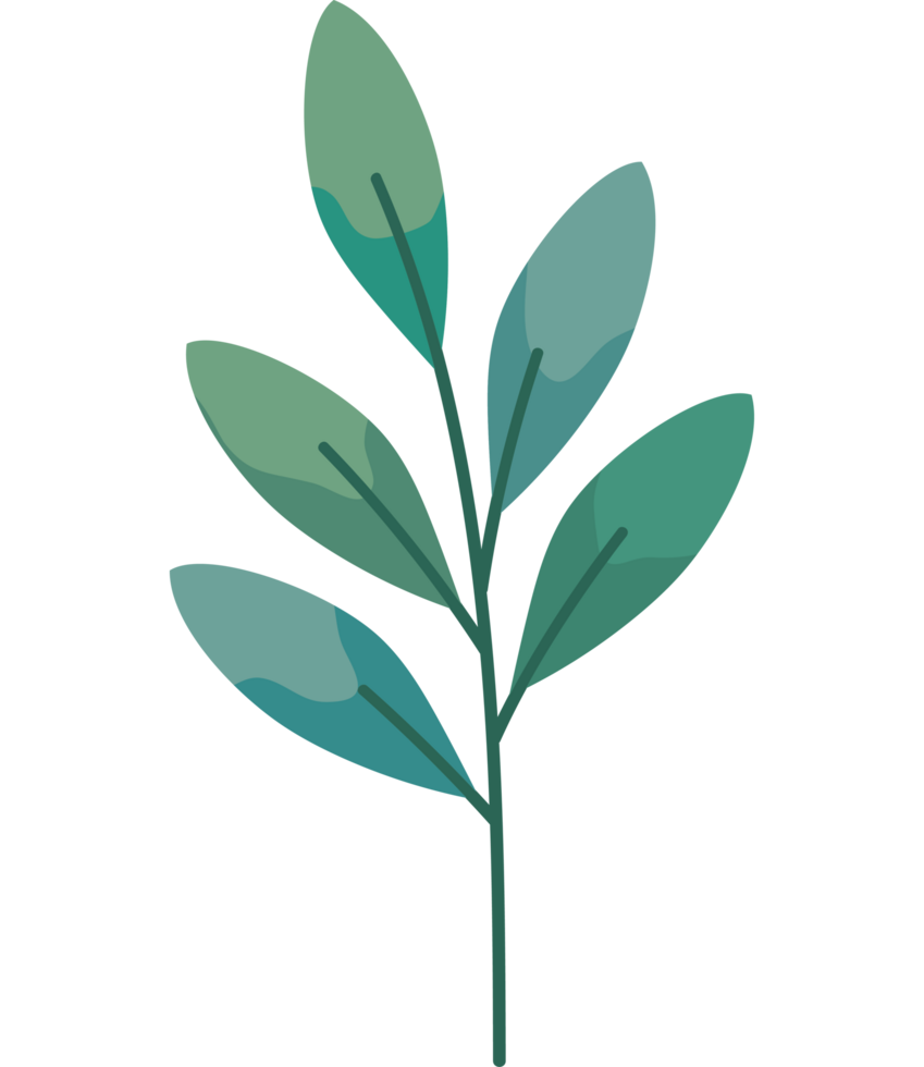 leaves foliage natural png