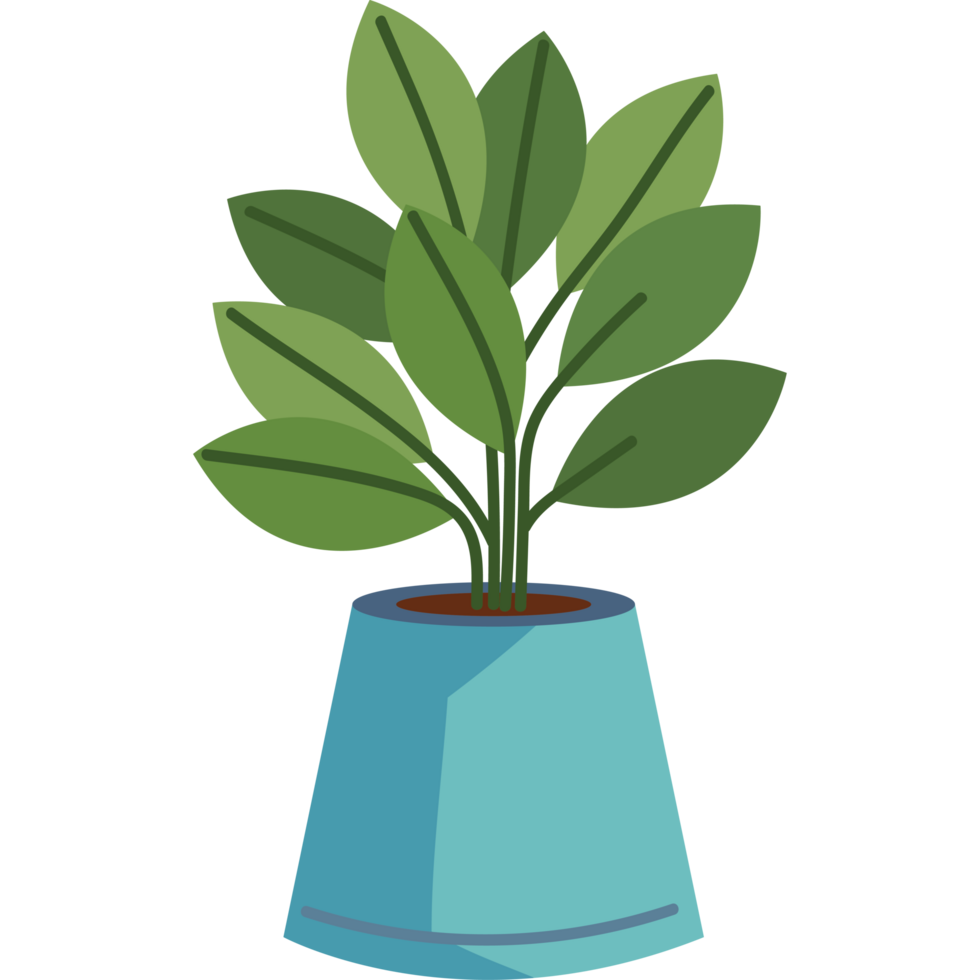 house plant decoration png