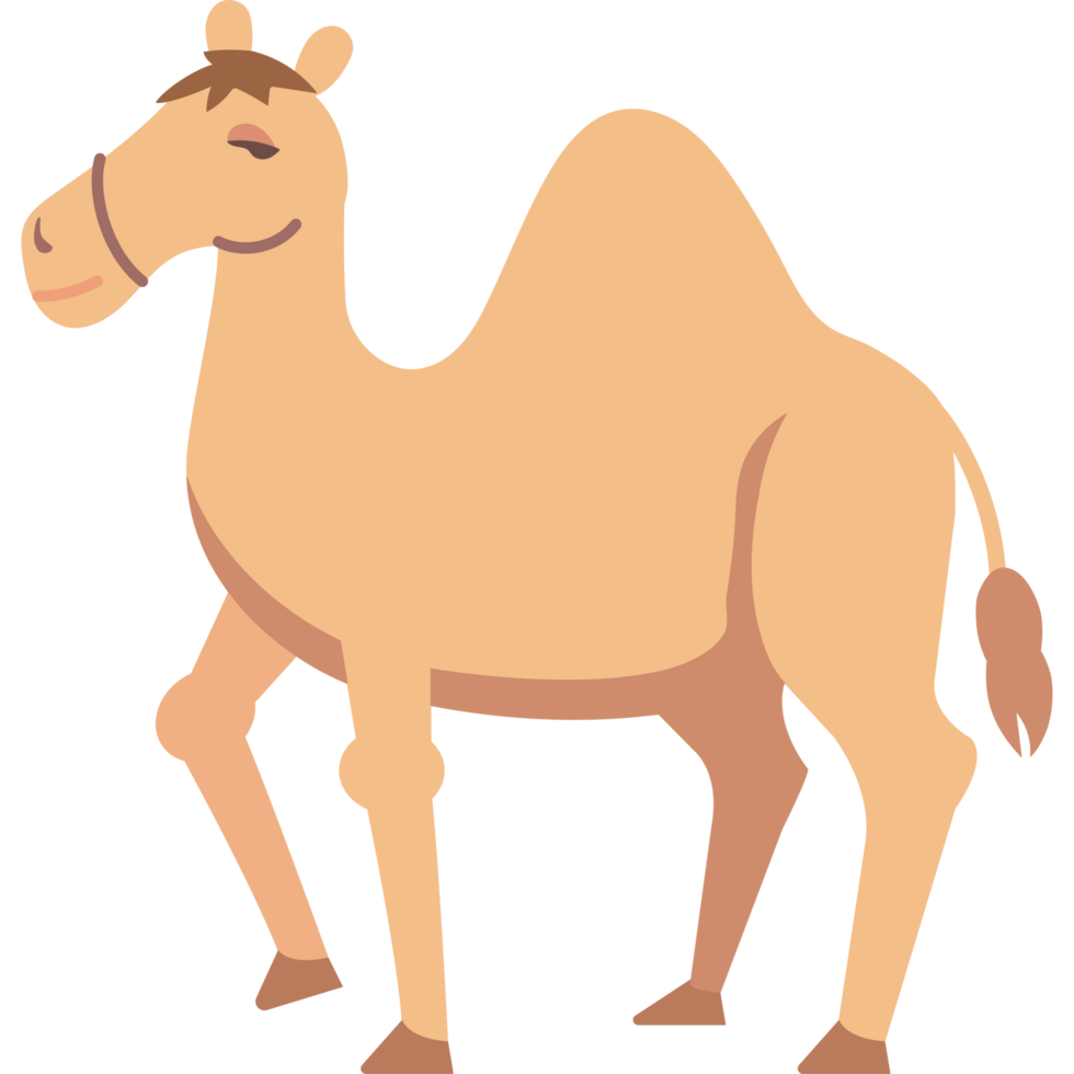desert camel animal png