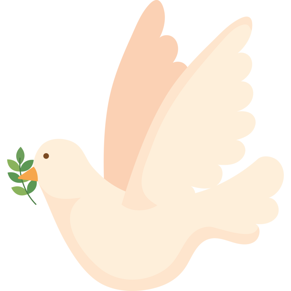 first communion dove with branch png