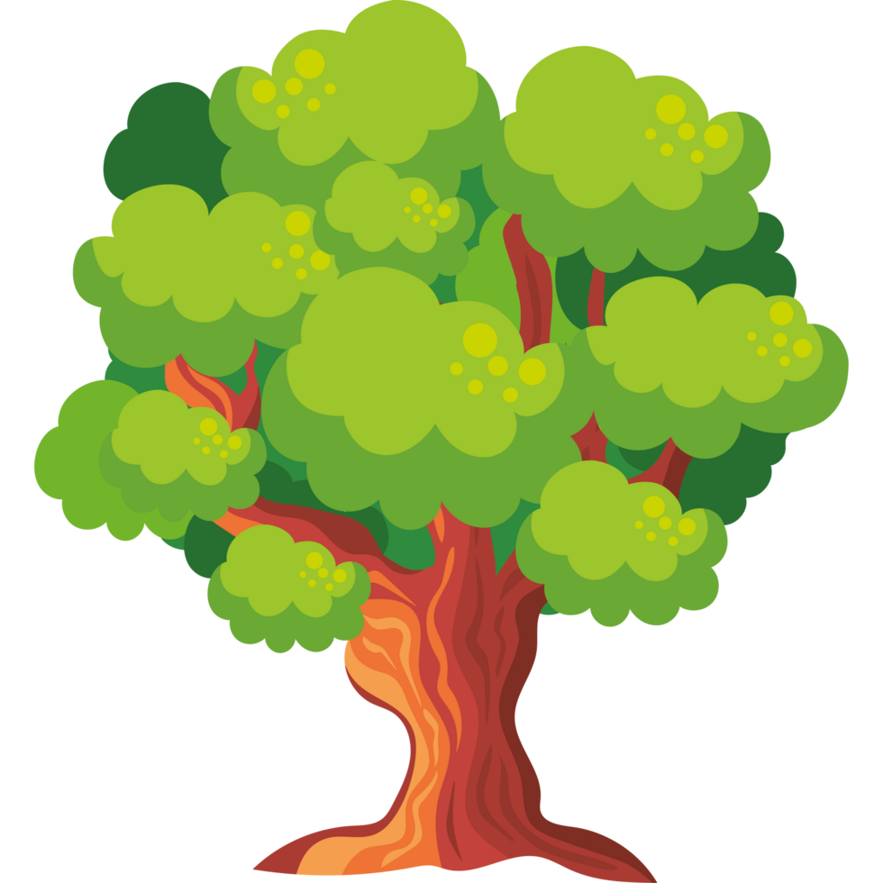 oak tree plant png