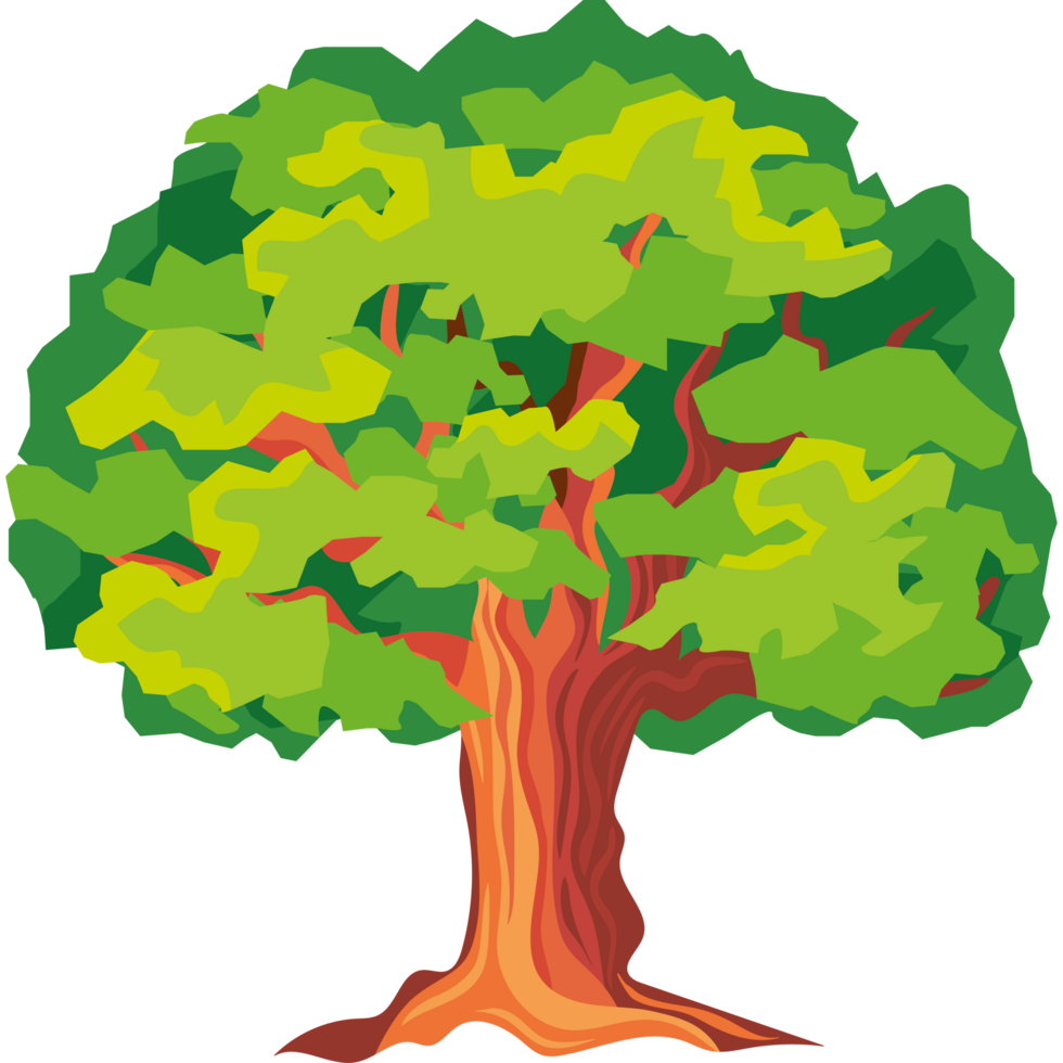 oak tree nature png
