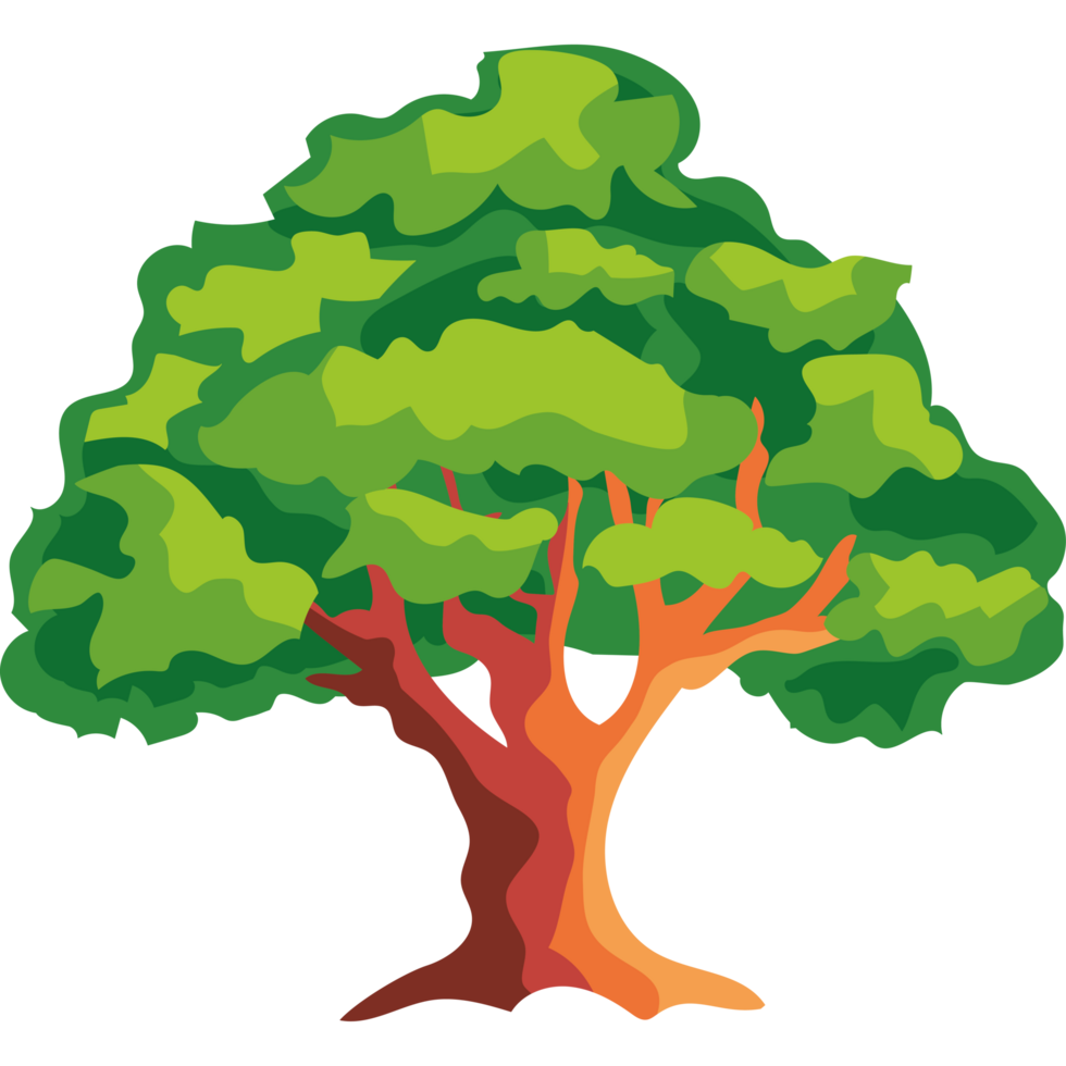 oak tree isolated png