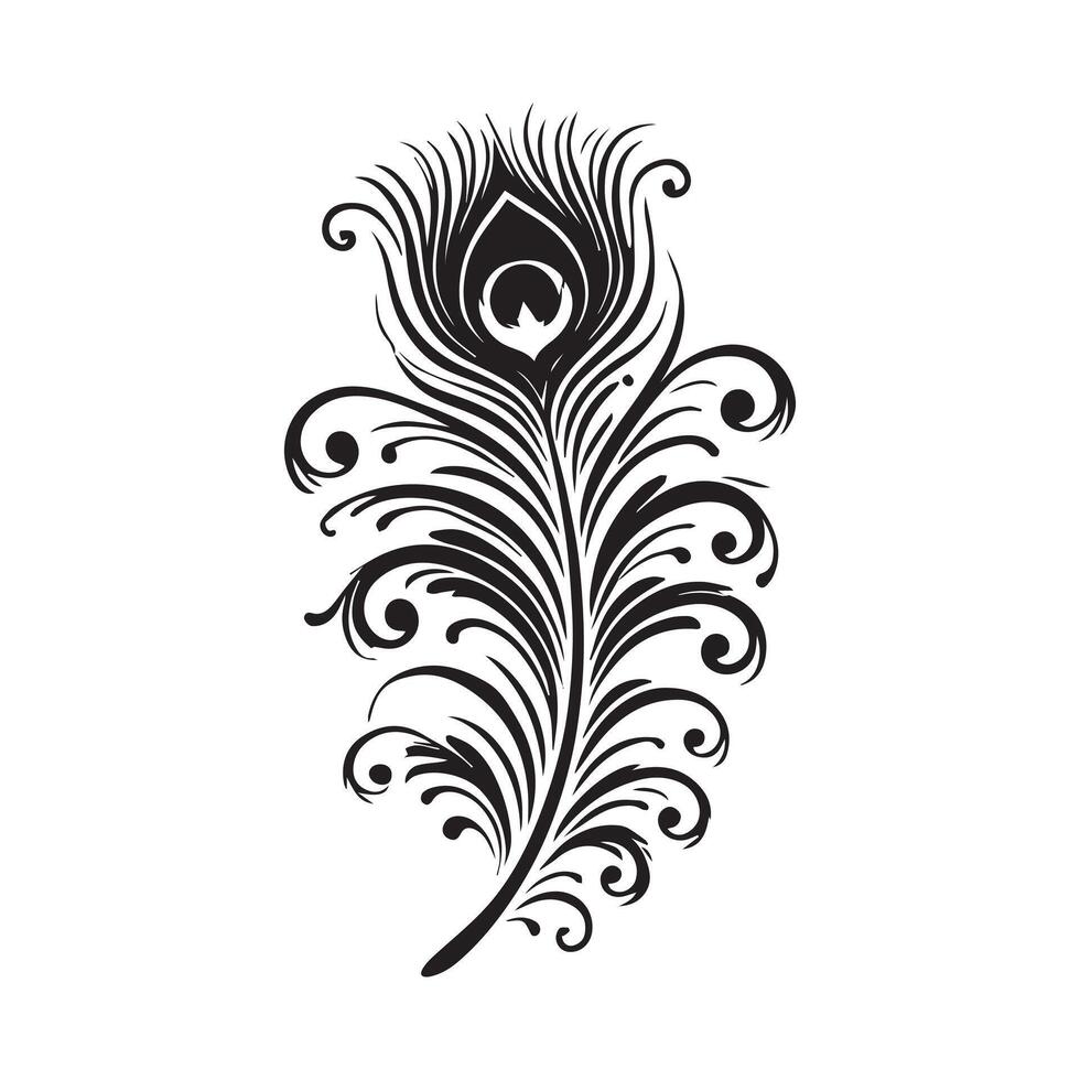 a black and white peacock feather on a white background vector