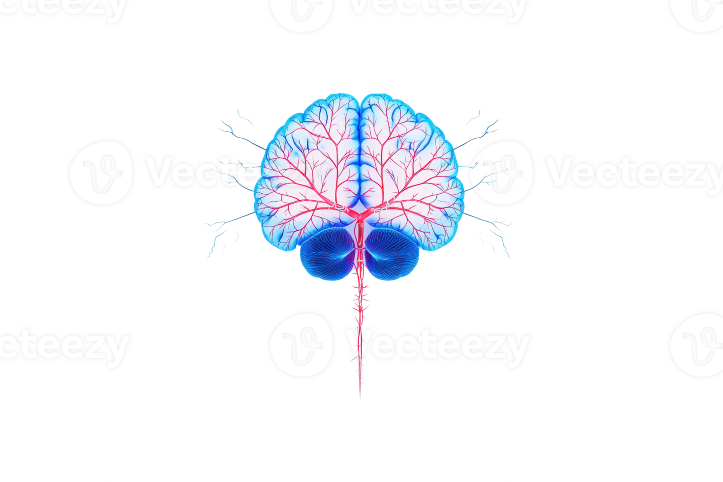 A vibrant, stylized representation of a brain, showcasing intricate neural pathways and bright colors. png