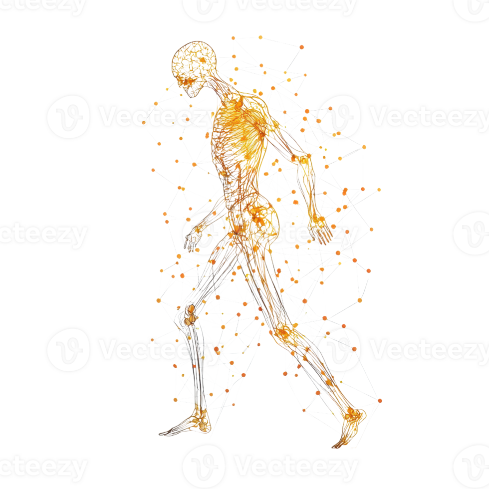 A stylized human figure composed of interconnected lines and glowing nodes, depicting a dynamic walking motion. png