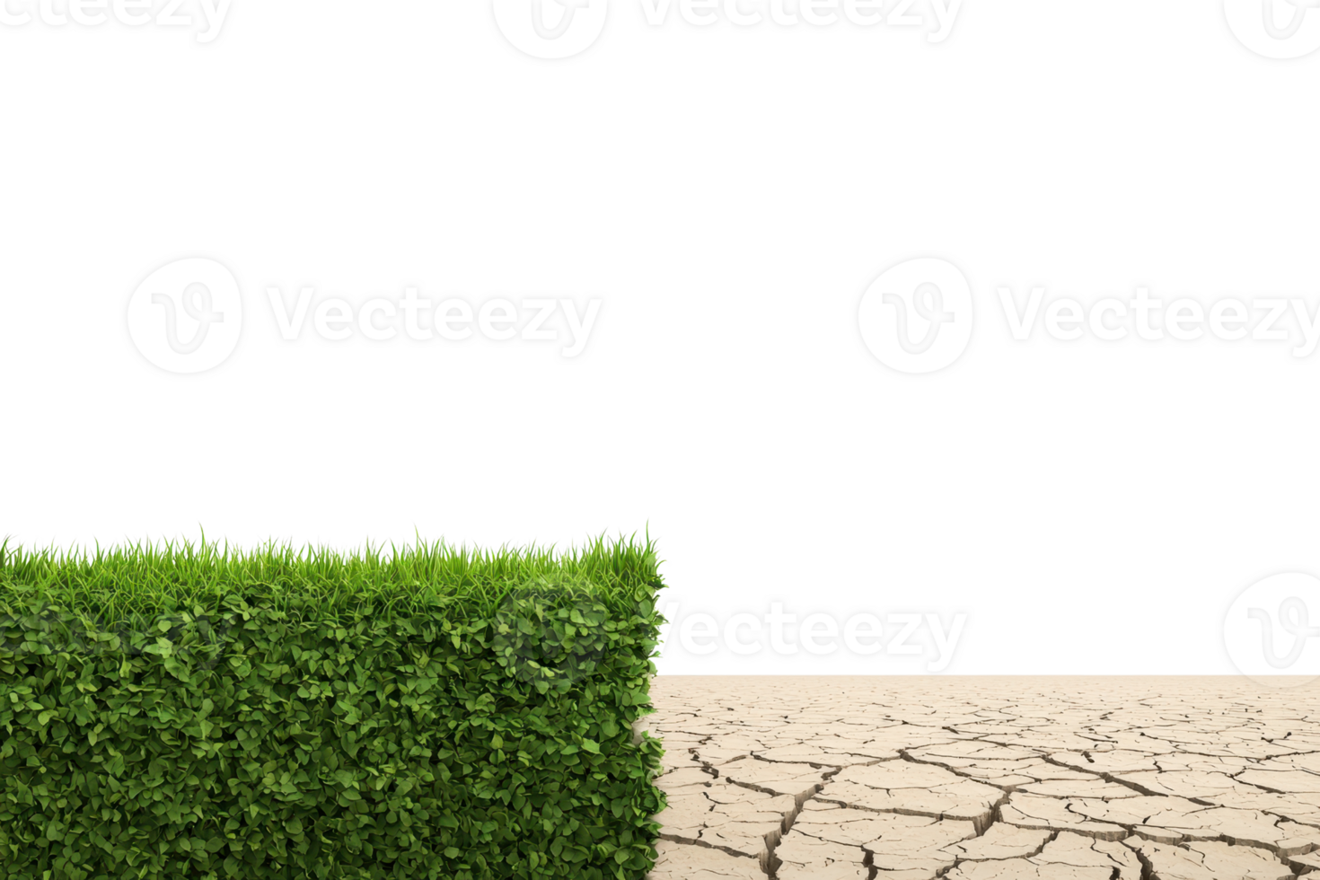 A vibrant green hedge contrasts starkly with a cracked, dry landscape, symbolizing the divide between nature and environmental degradation. png