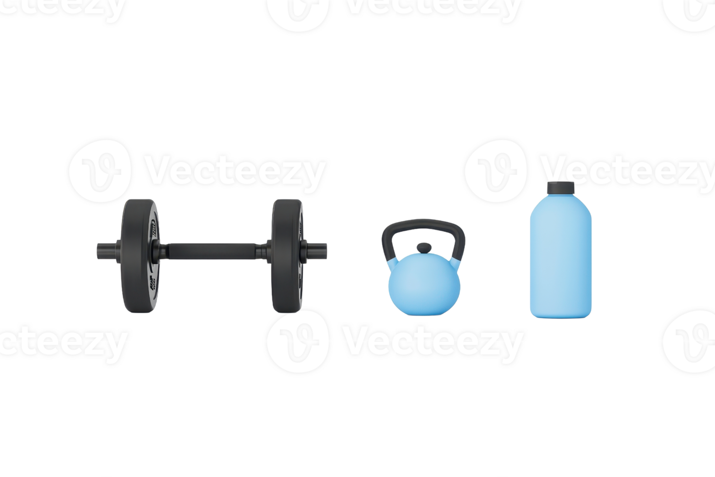 A black dumbbell, a blue kettlebell, and a blue water bottle arranged in a row. png