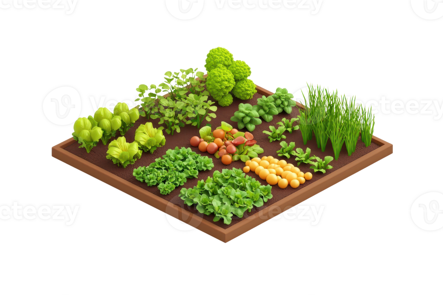 A vibrant garden plot featuring a variety of fresh vegetables and herbs arranged in neat sections. png