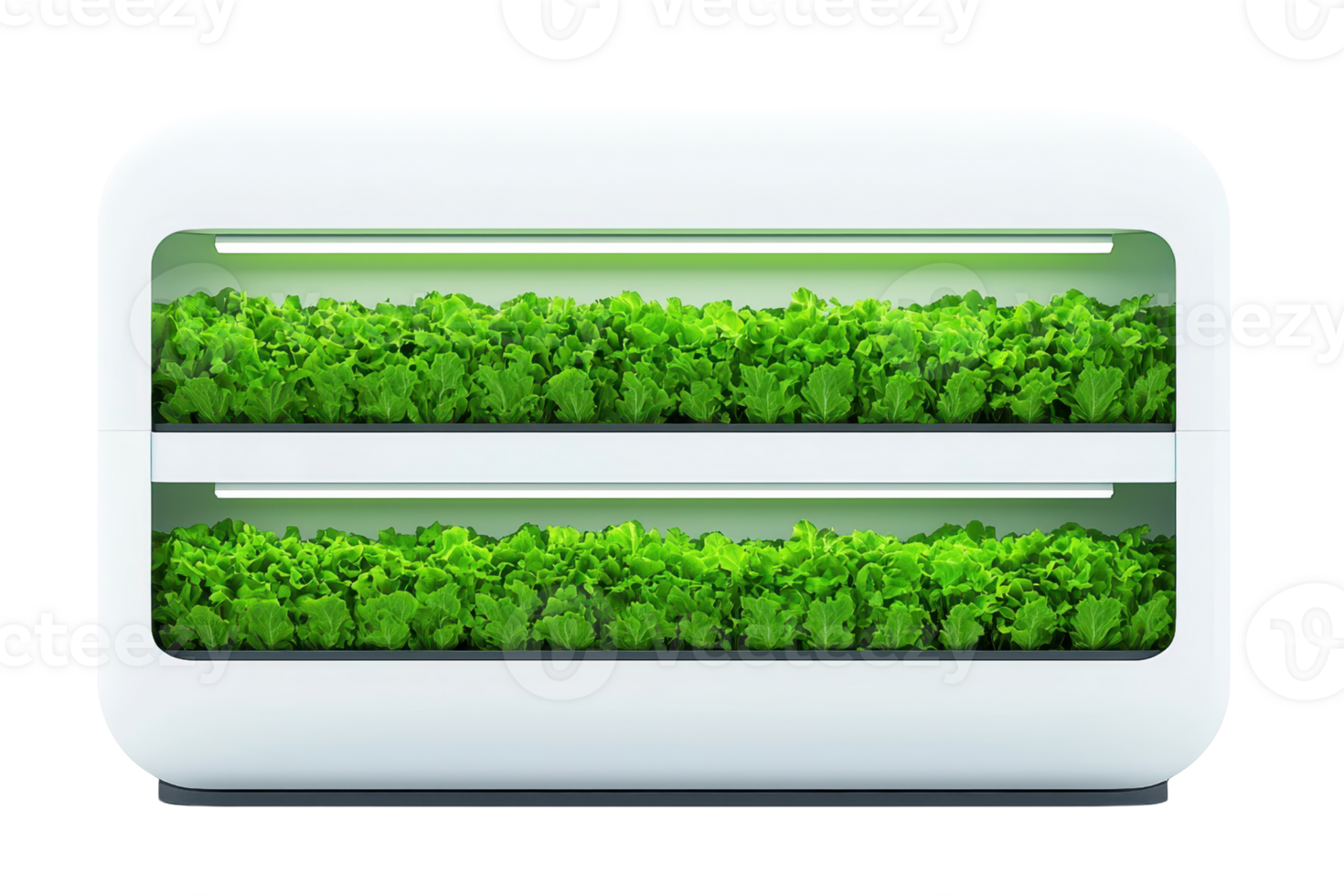 A modern indoor garden with two layers of vibrant green lettuce plants growing under bright LED lights. png