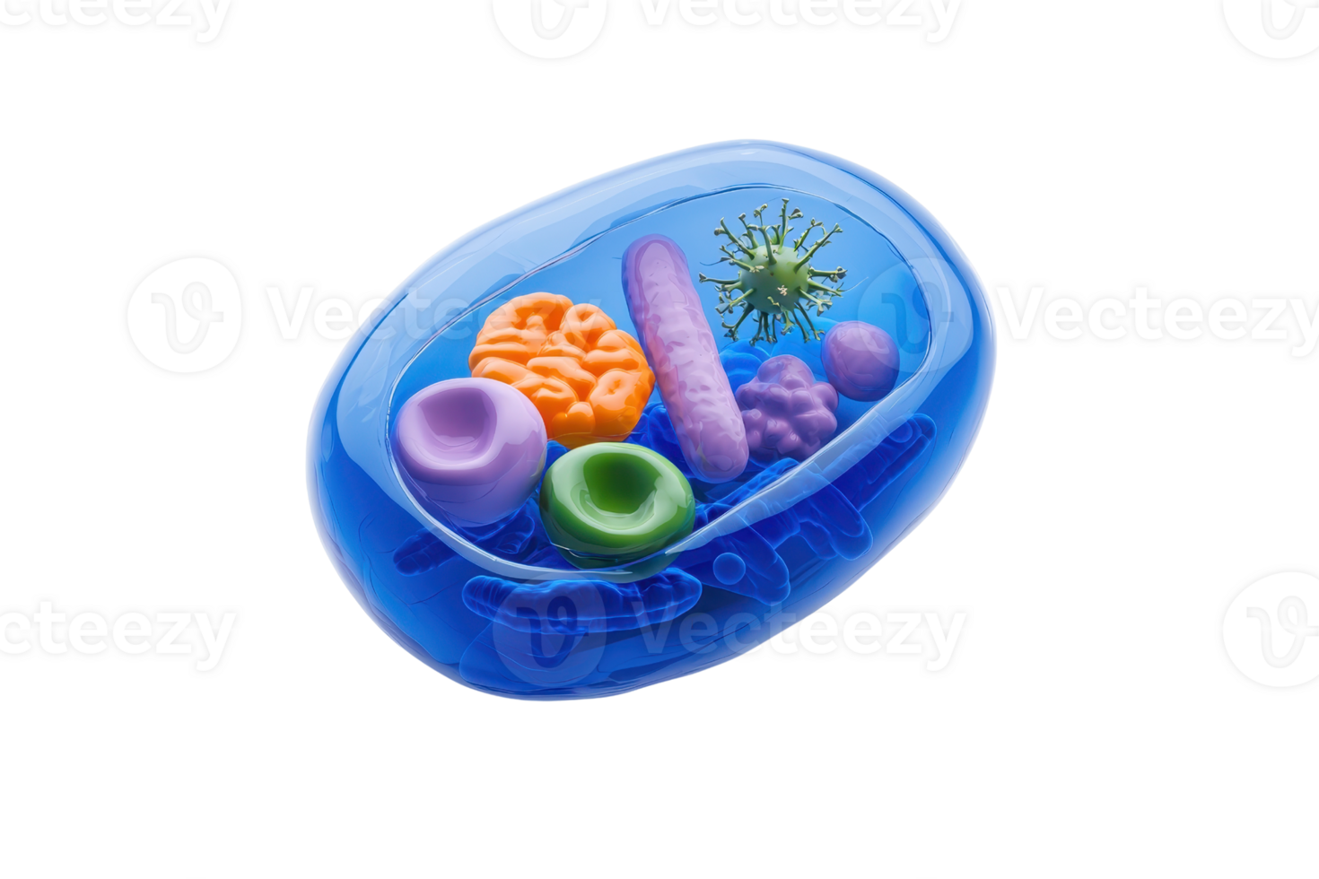 A colorful representation of a cell with various organelles and microorganisms inside. png