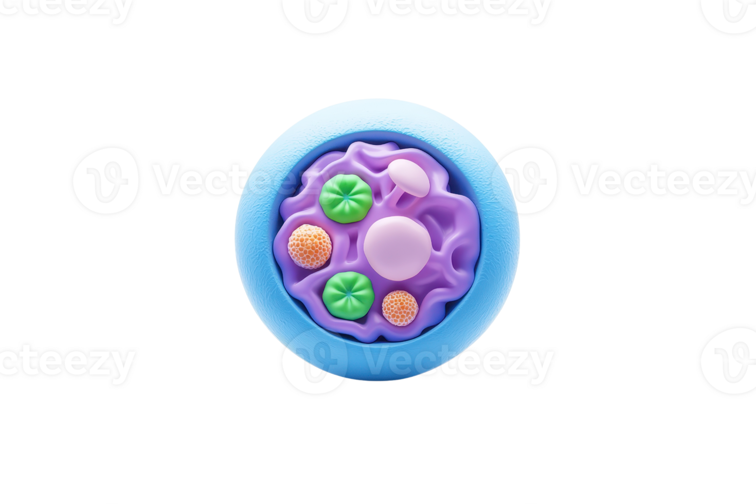 A circular, colorful cell structure featuring vibrant organelles in shades of purple, pink, and green. png