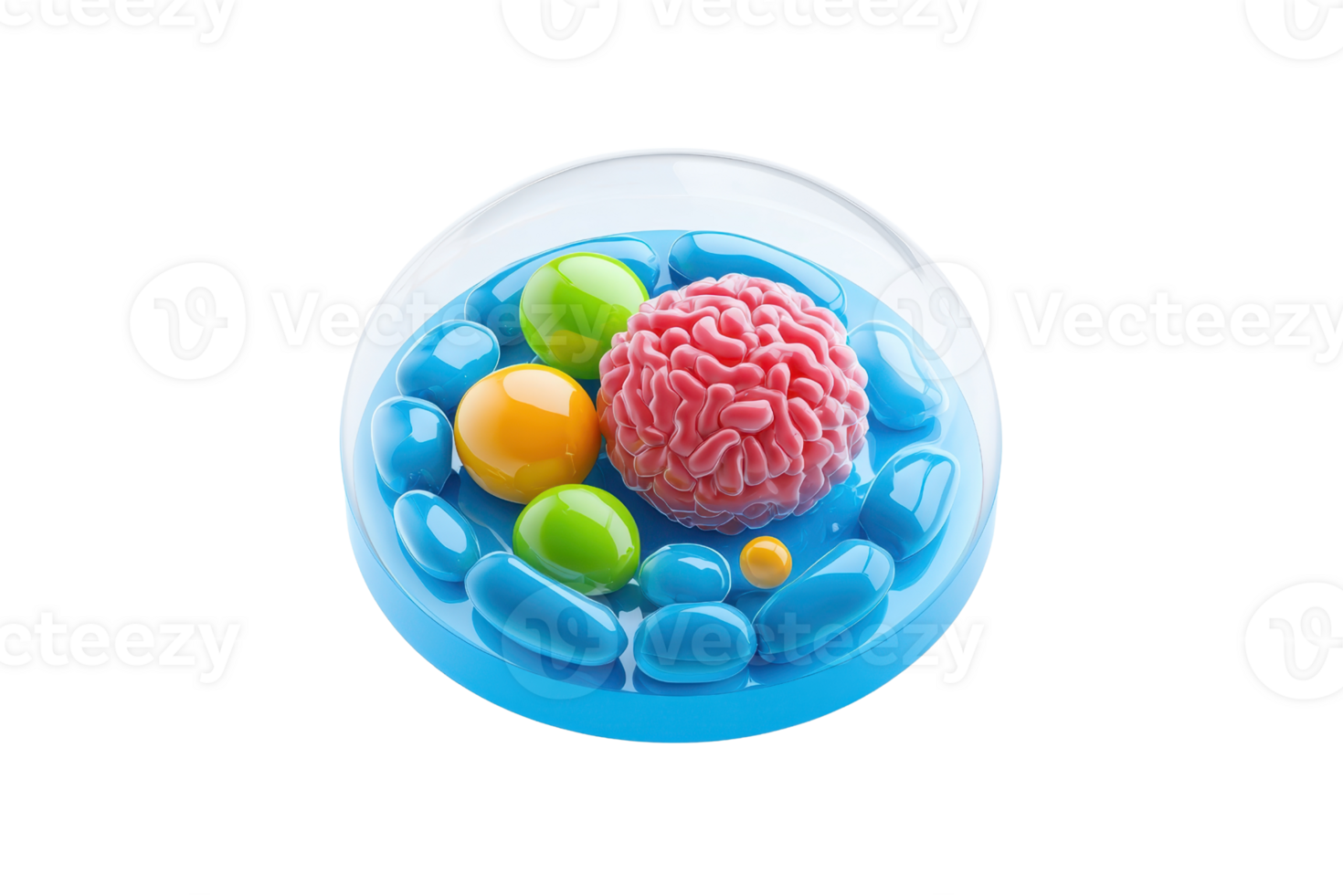 A colorful representation of a cell, highlighting its nucleus and various organelles in a vibrant setting. png