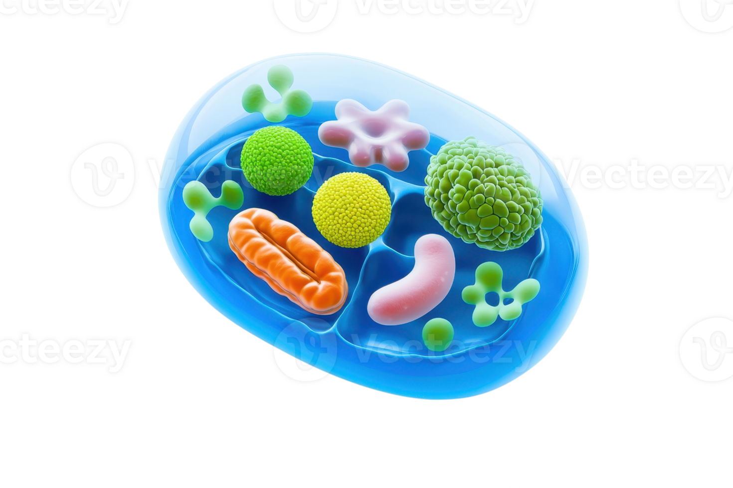 A colorful illustration of various microorganisms, including bacteria and algae, depicted within a cell-like structure. png