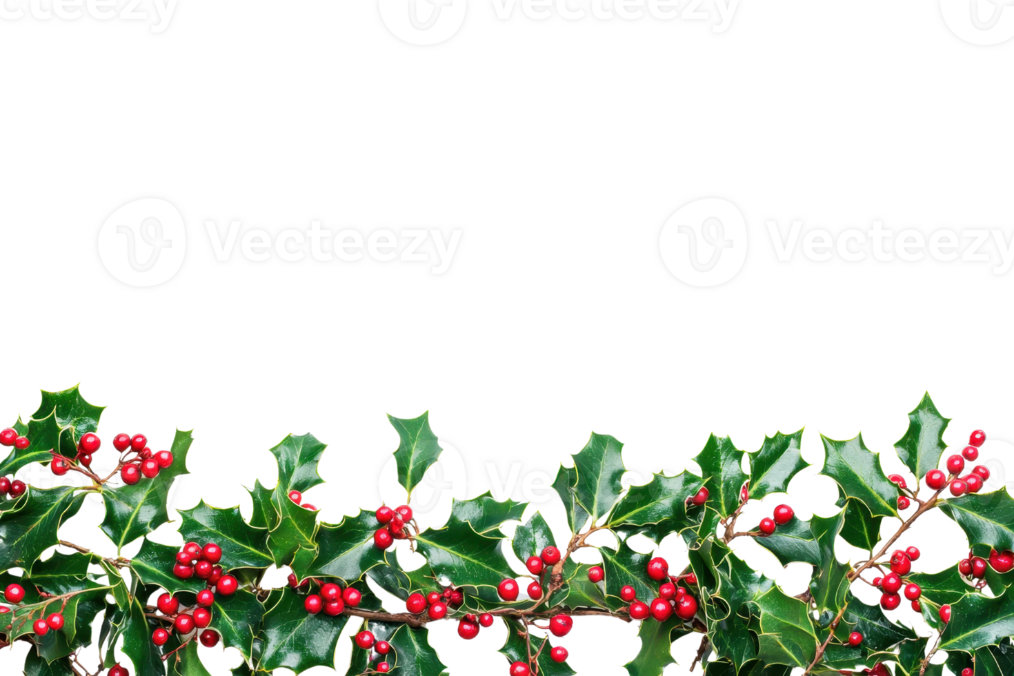 Festive holly border with vibrant red berries and glossy green leaves, perfect for holiday-themed designs and seasonal decorations. png