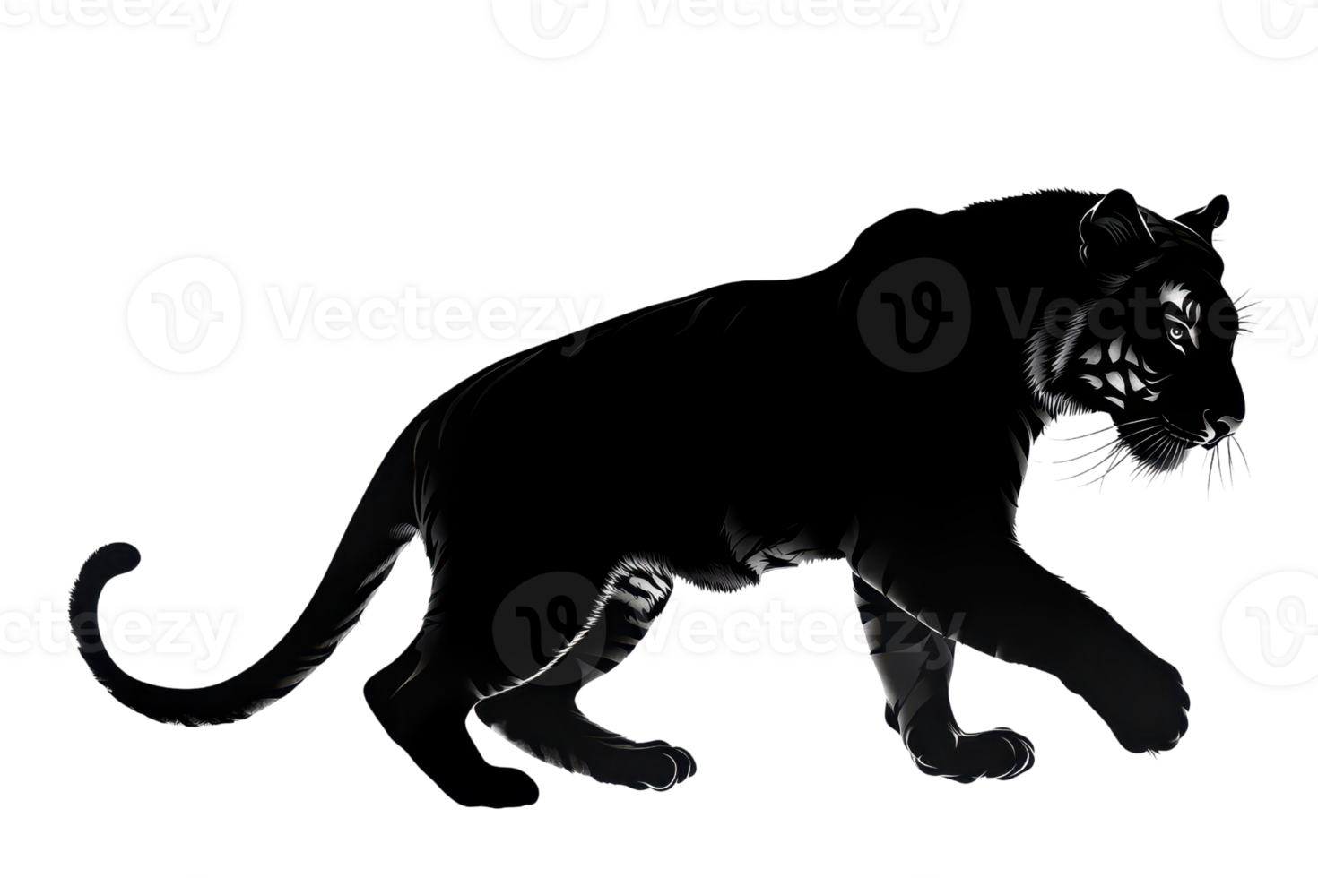 Majestic black panther prowling in stealth mode, showcasing its sleek fur and strong physique against a white backdrop, exuding wild elegance. png