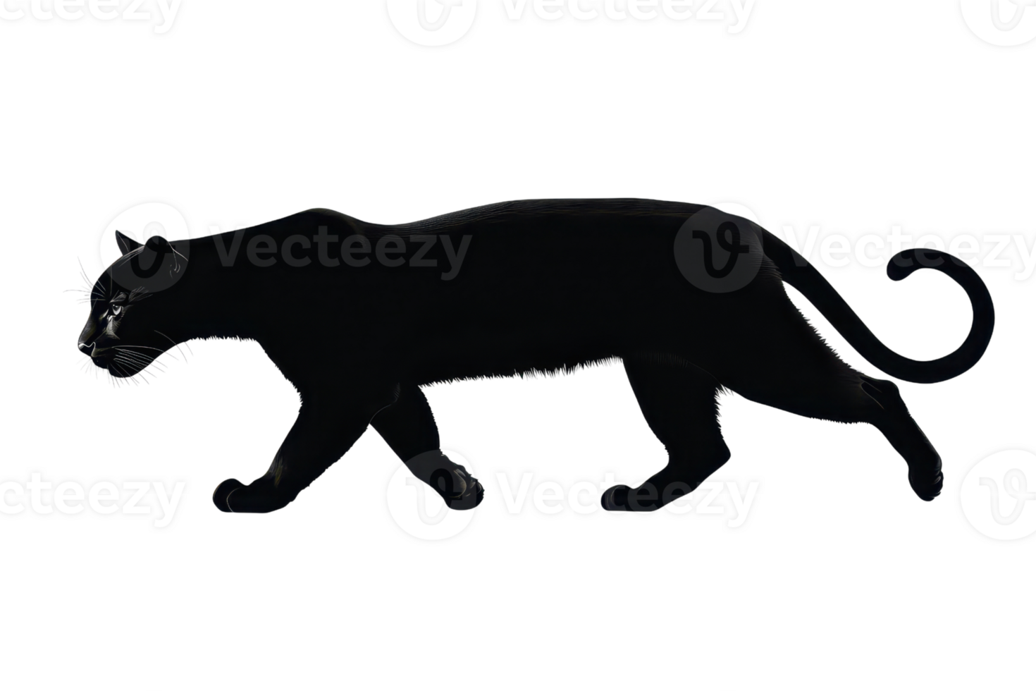 Majestic black panther prowling with elegance in a natural setting, showcasing its sleek fur and mysterious aura against a simple backdrop. png