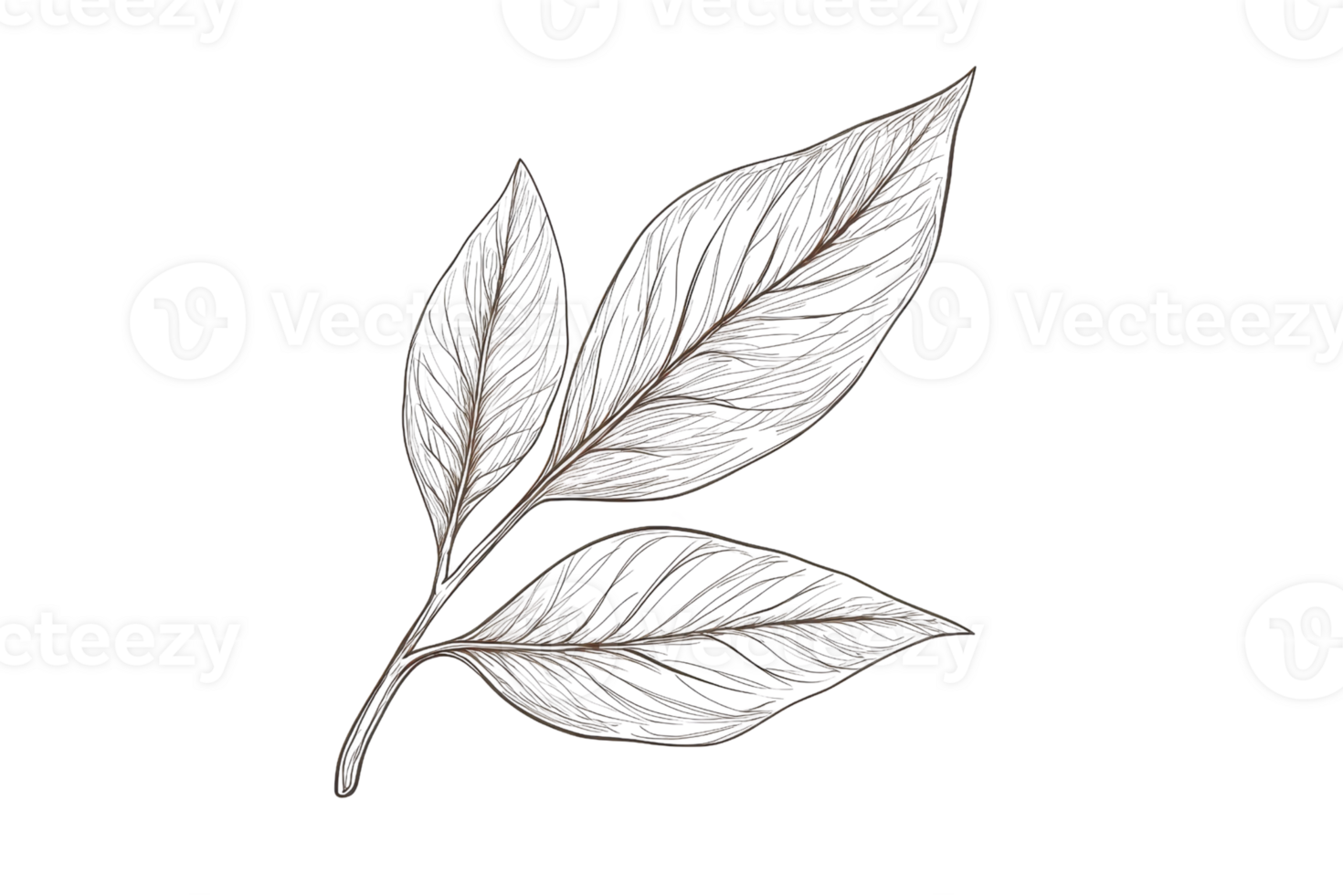 Delicate metallic leaf sculpture with intricate cutout design on transparent background, showcasing detailed artistry and craftsmanship. png