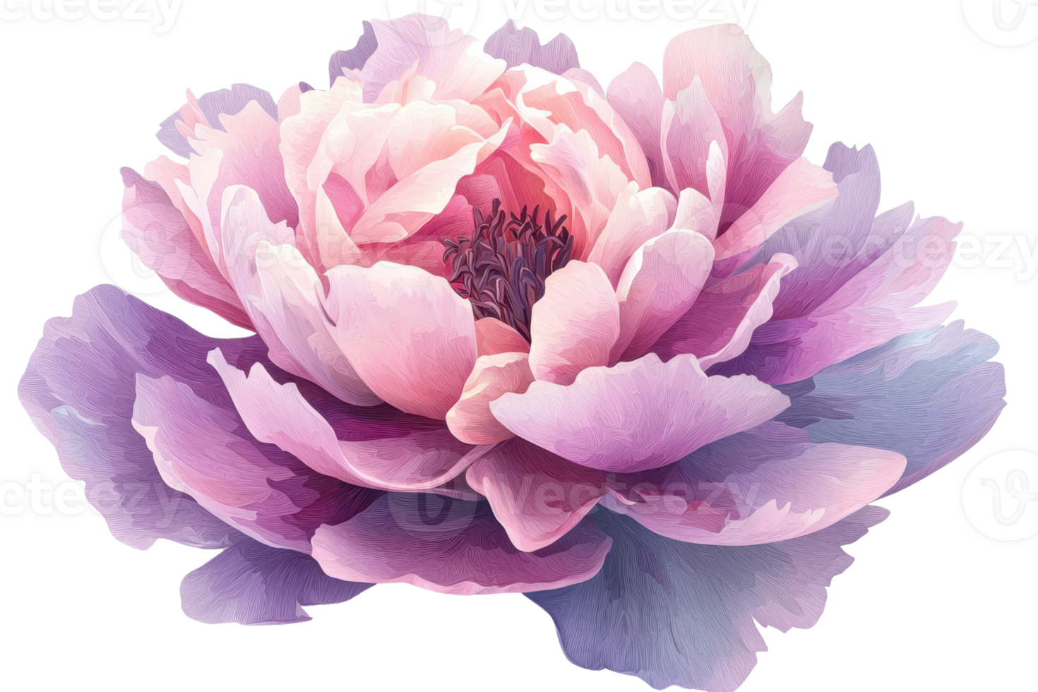 Elegant watercolor illustration of a blooming peony in soft pink and purple hues, capturing the essence of natural beauty and delicate artistry. png