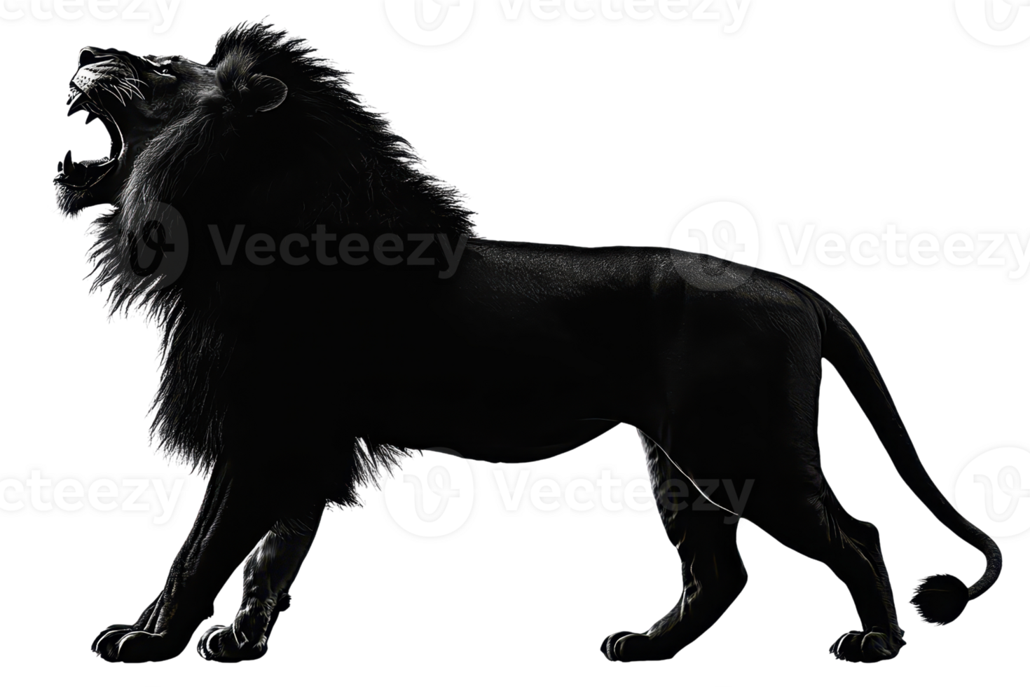 Majestic black lion roaring fiercely in a powerful stance, symbolizing strength and elegance against a dark backdrop. png
