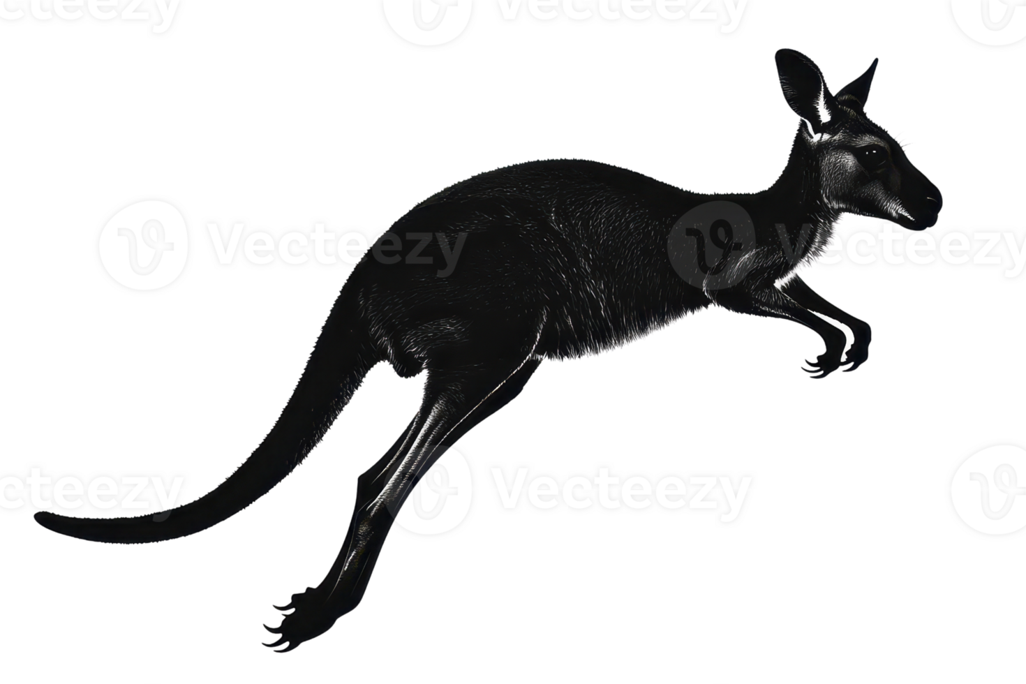 Sleek black kangaroo silhouette in motion against transparent background, illustrating dynamic movement and unique design. png