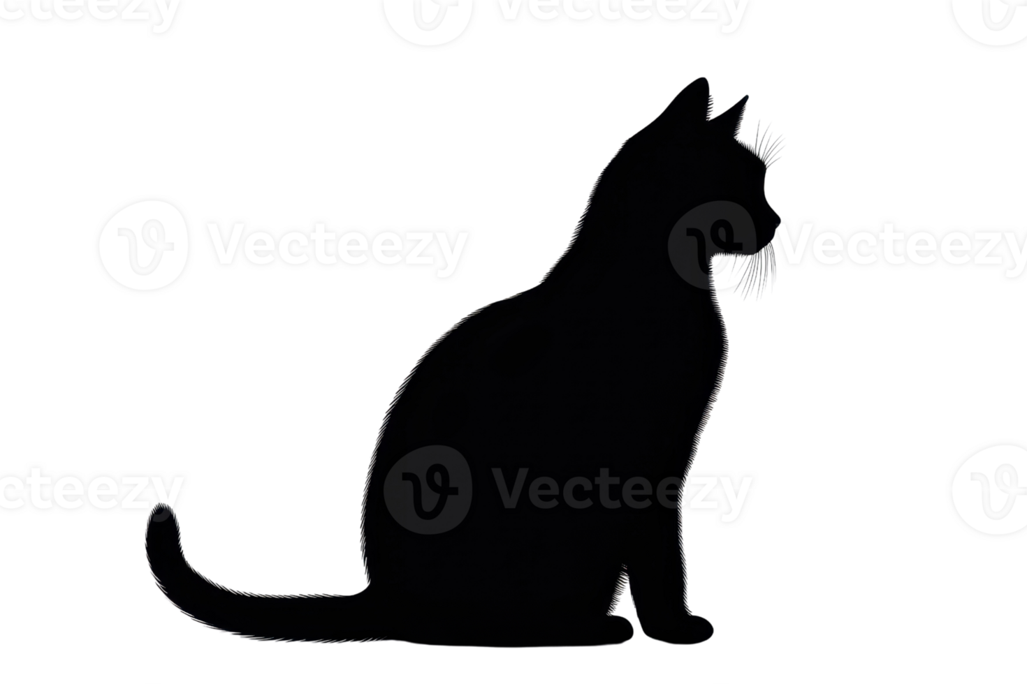 Silhouette of a sitting cat against a transparent background, capturing the feline's graceful posture and mysterious charm. png