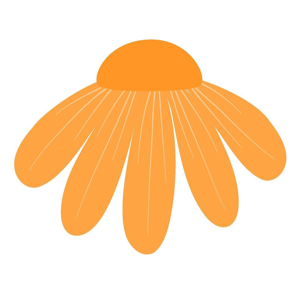 an orange flower vector