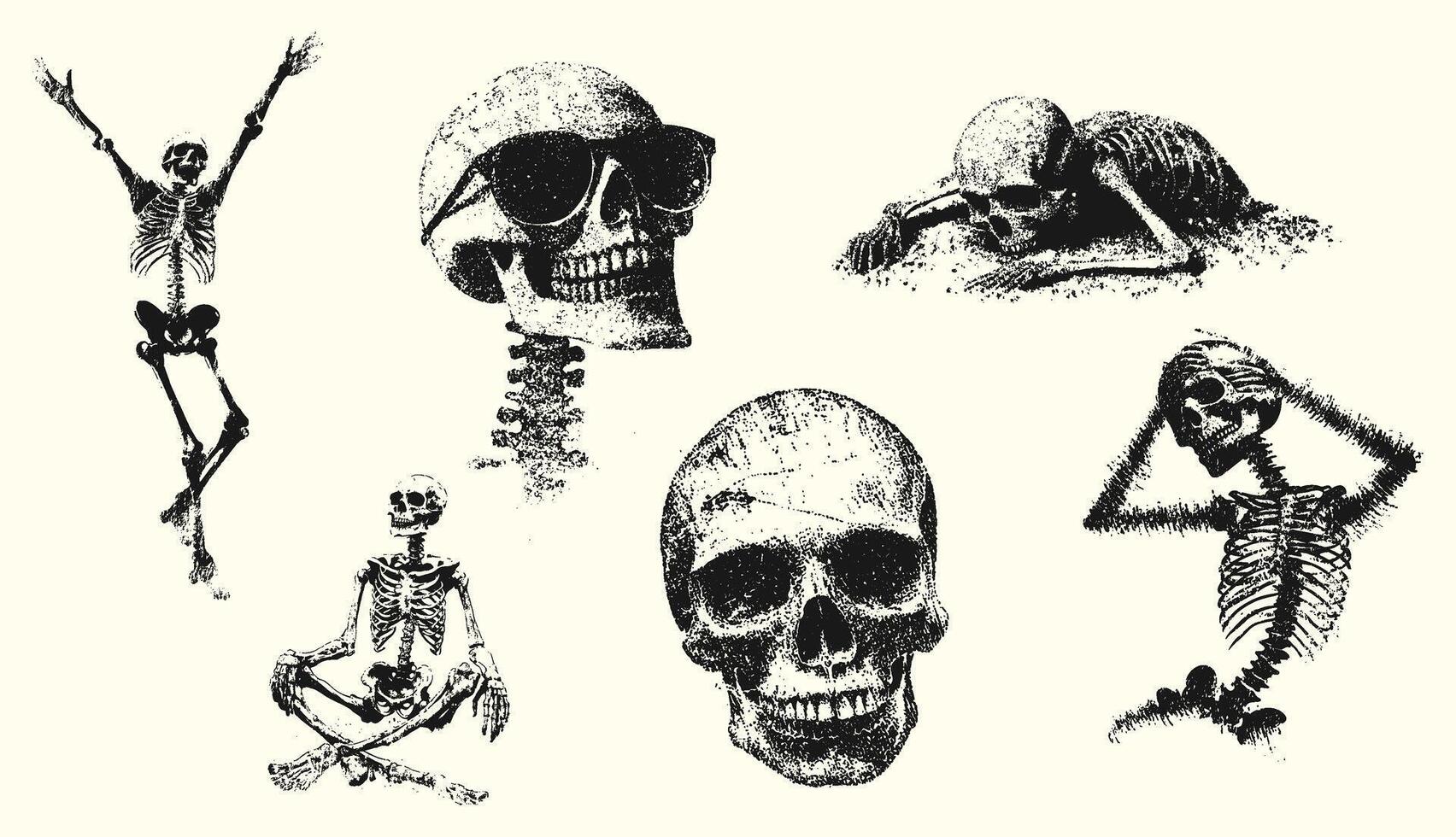Collection of Skeleton Illustrations Featuring Different Poses and an Individual Wearing Sunglasses vector
