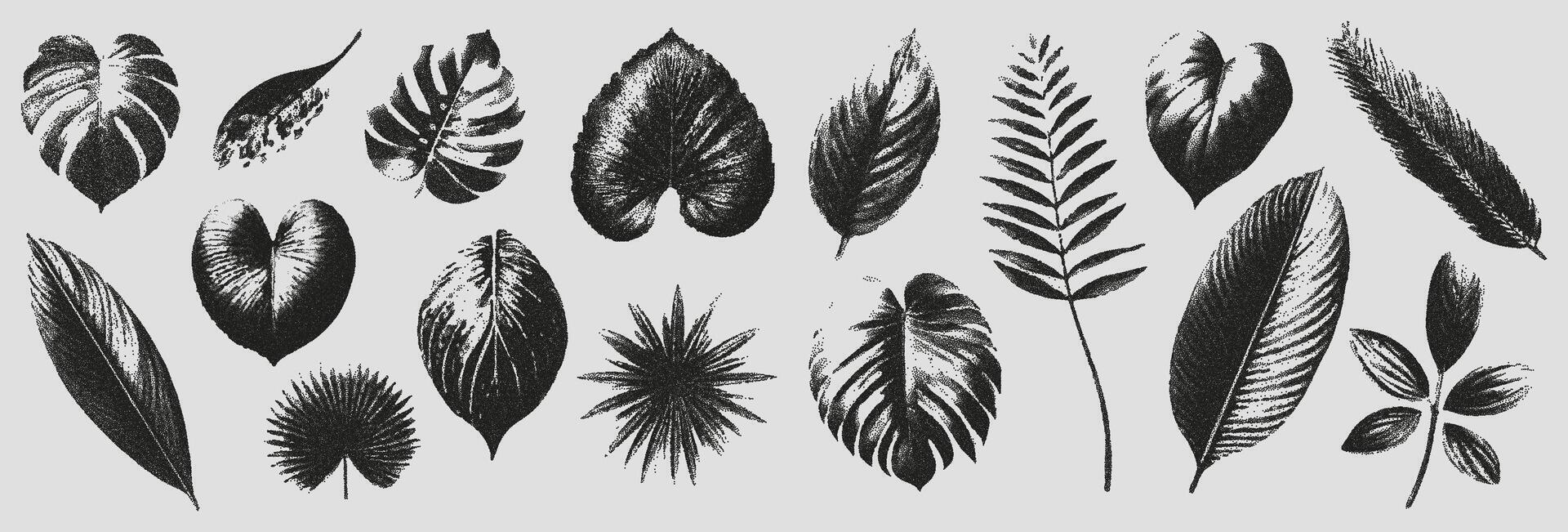 Set of elements with a retro photocopy effect. Realistic tropical leaves with a grain effect. vector