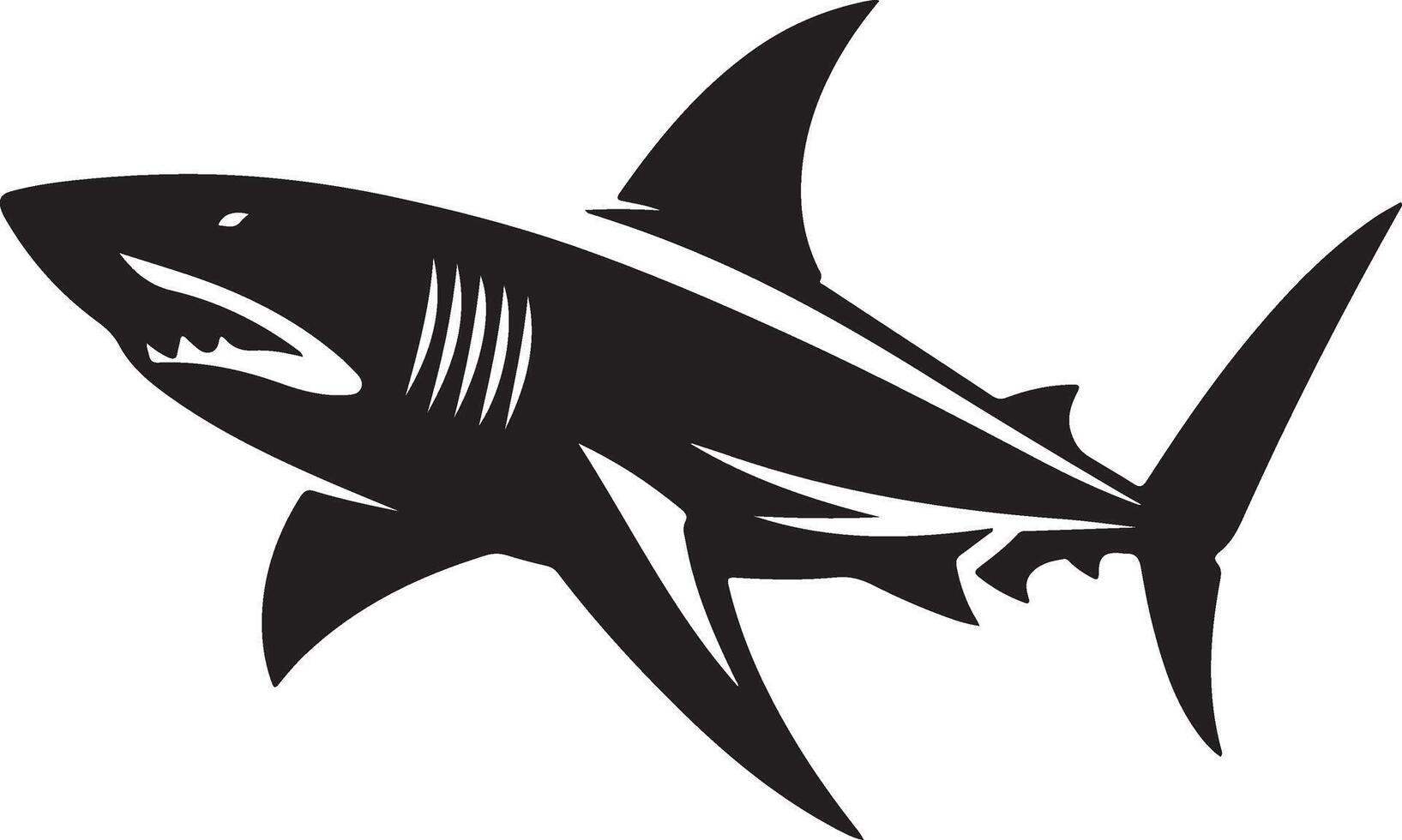 shark illustration on white background vector
